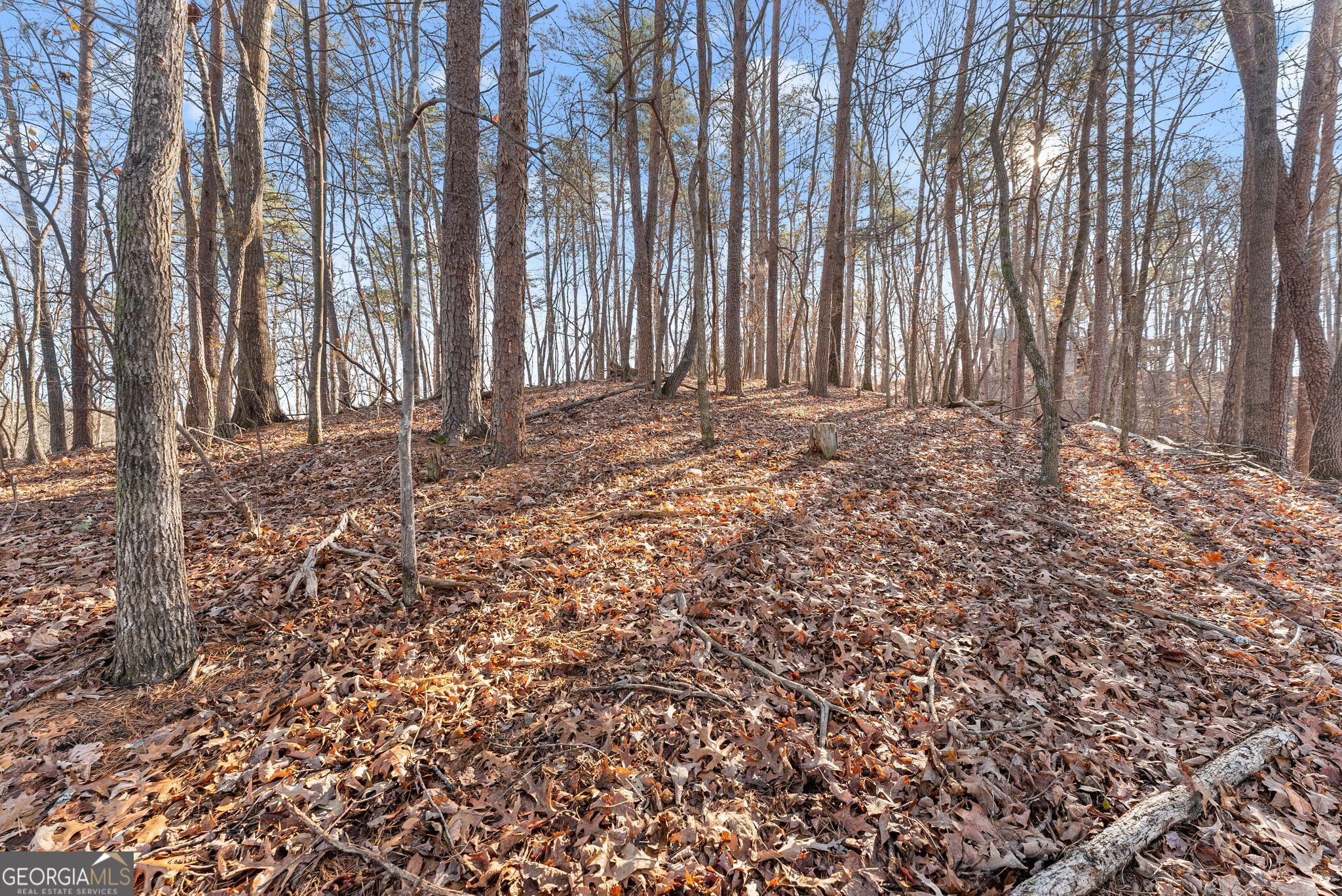 0 Golden Lot 4 Avenue Dahlonega GA 30533