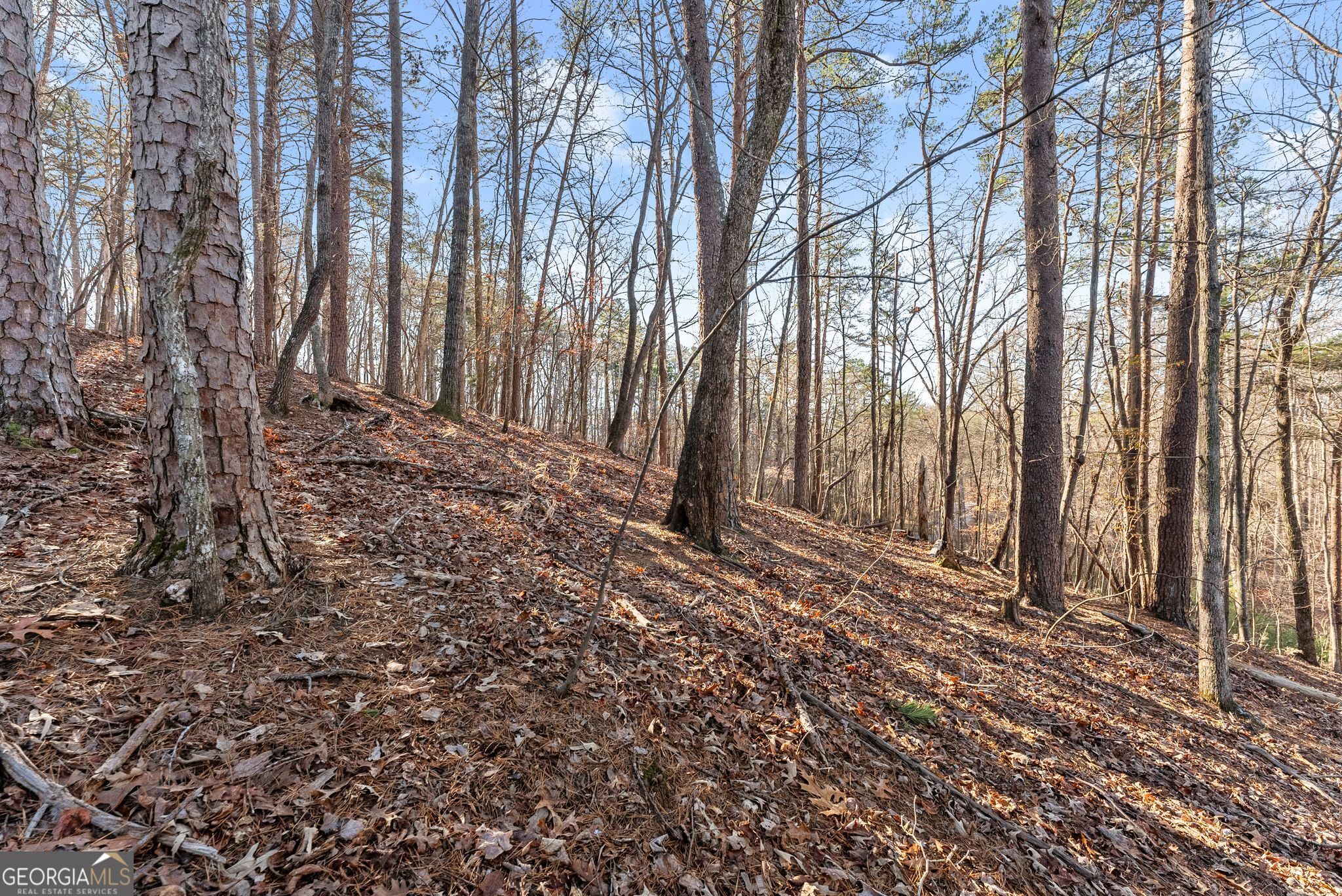 0 Golden Lot 4 Avenue Dahlonega GA 30533