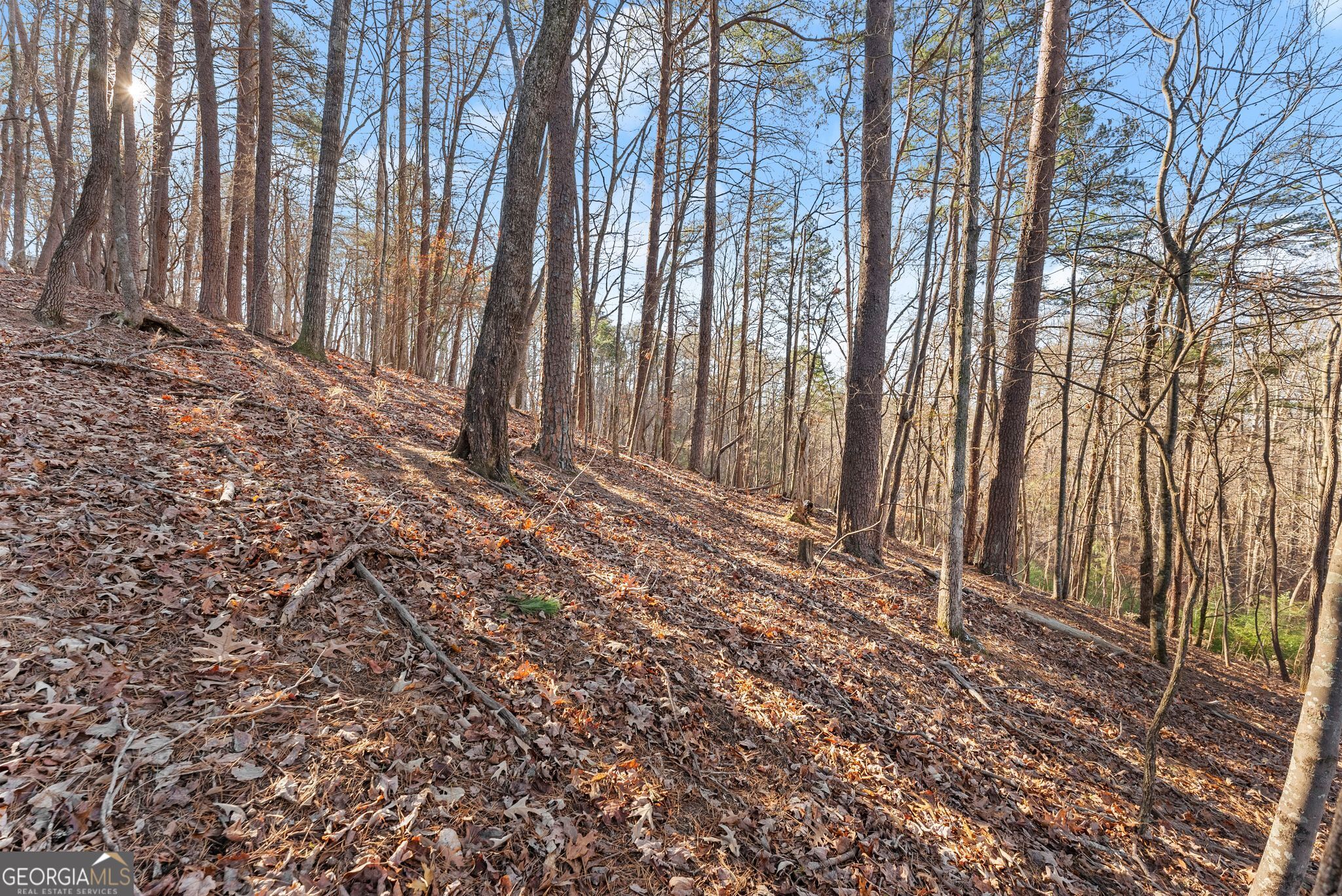 0 Golden Lot 4 Avenue Dahlonega GA 30533
