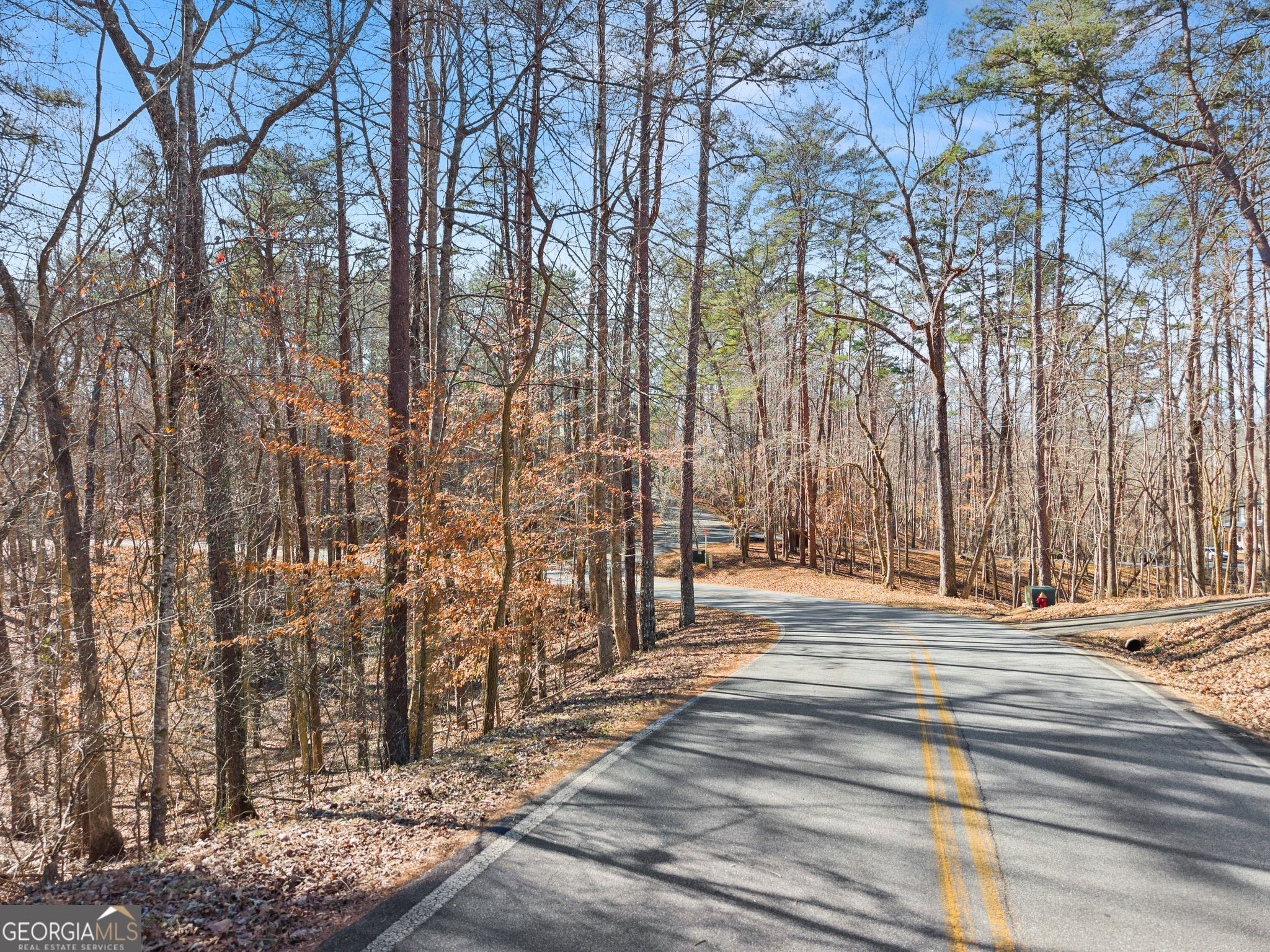 0 Golden Lot 4 Avenue Dahlonega GA 30533
