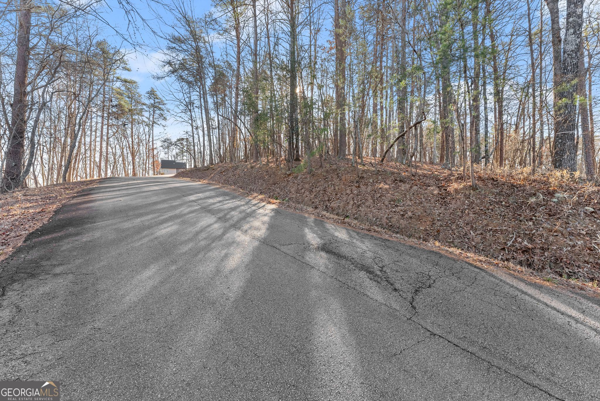 0 Golden Lot 4 Avenue Dahlonega GA 30533
