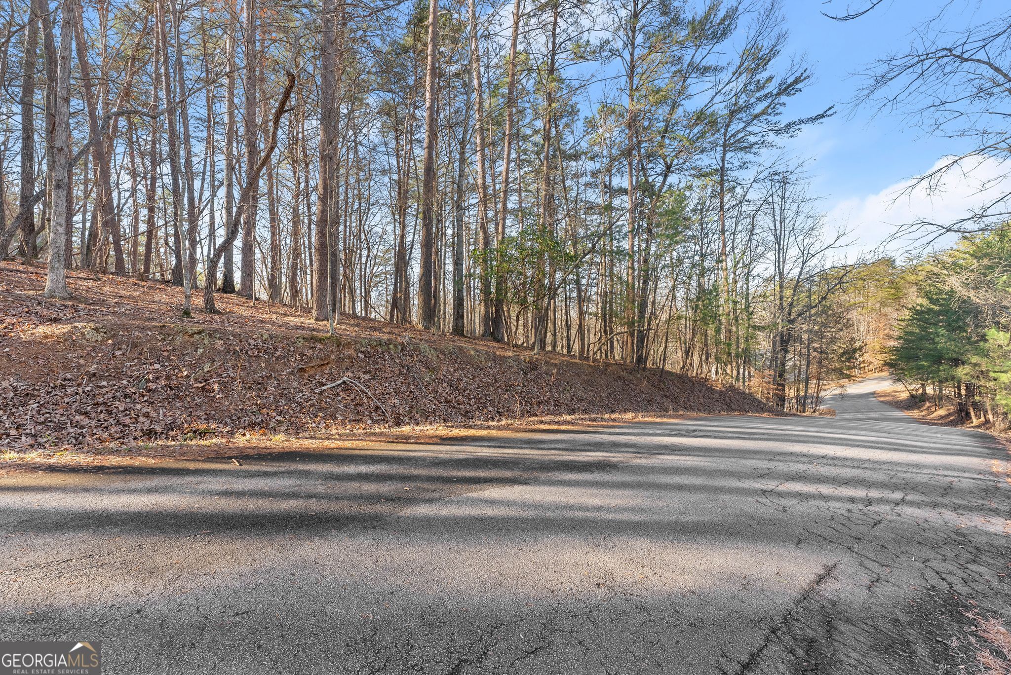0 Golden Lot 4 Avenue Dahlonega GA 30533