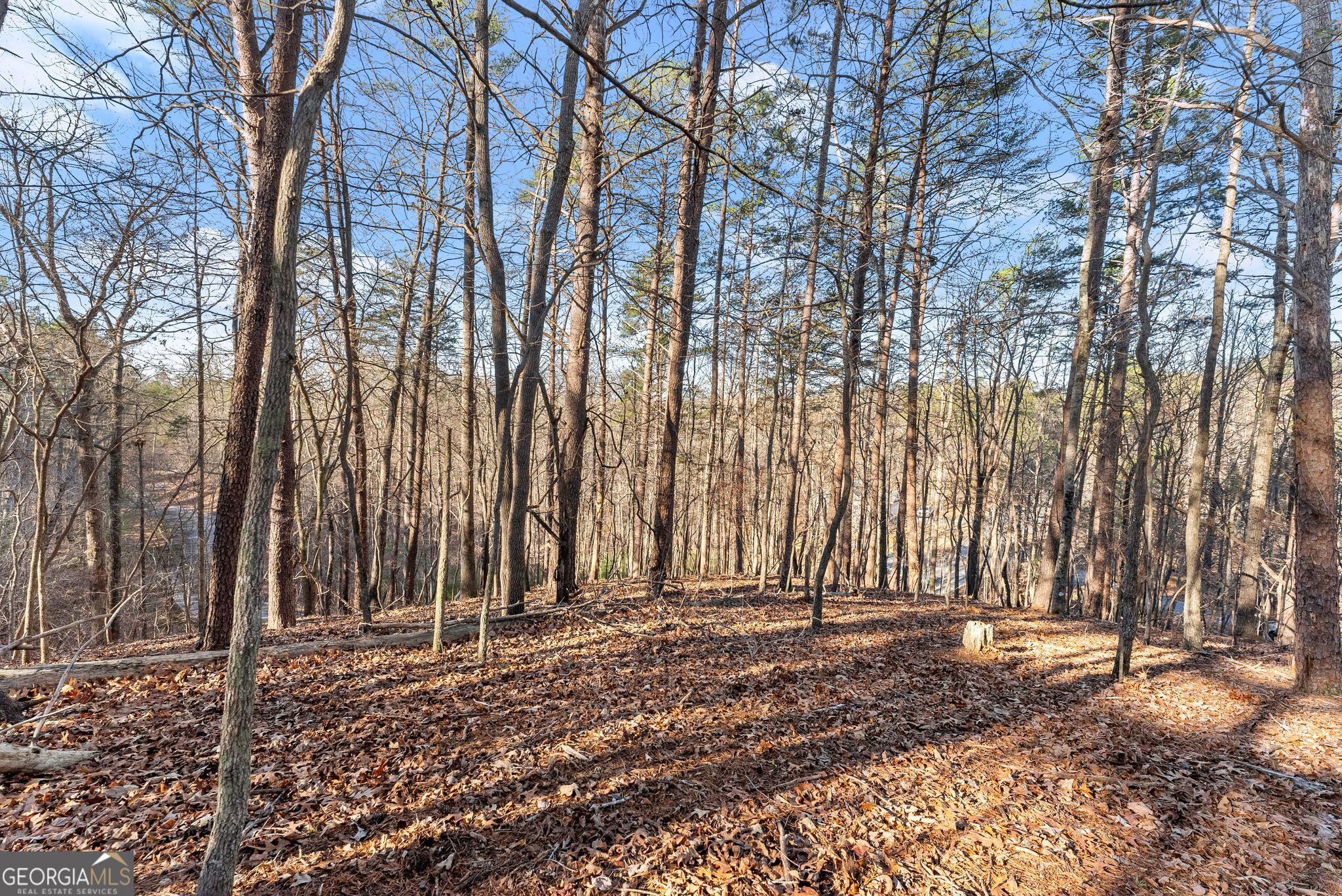 0 Golden Lot 4 Avenue Dahlonega GA 30533