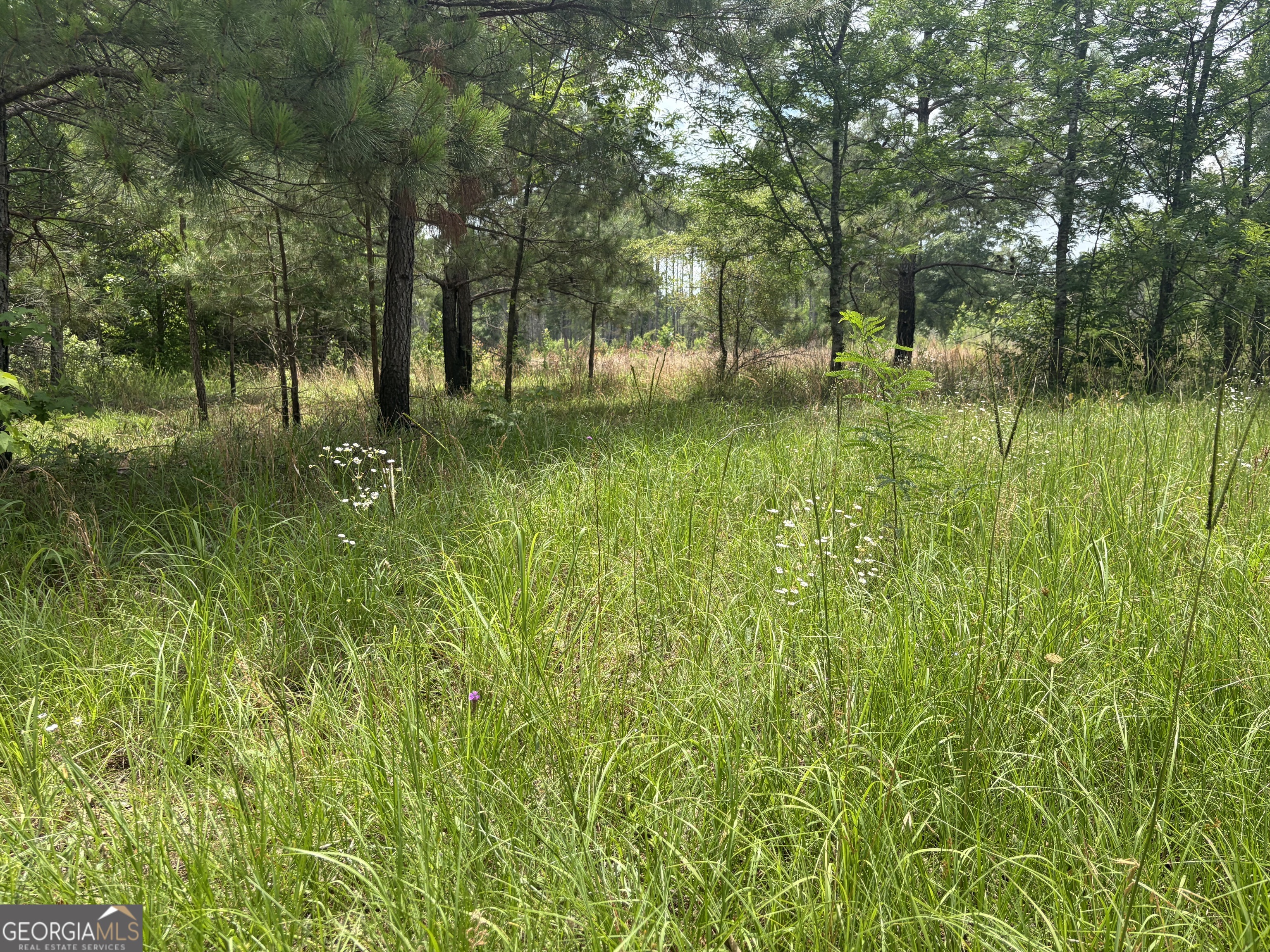 6 Sunhill Grange Road Davisboro GA 31018