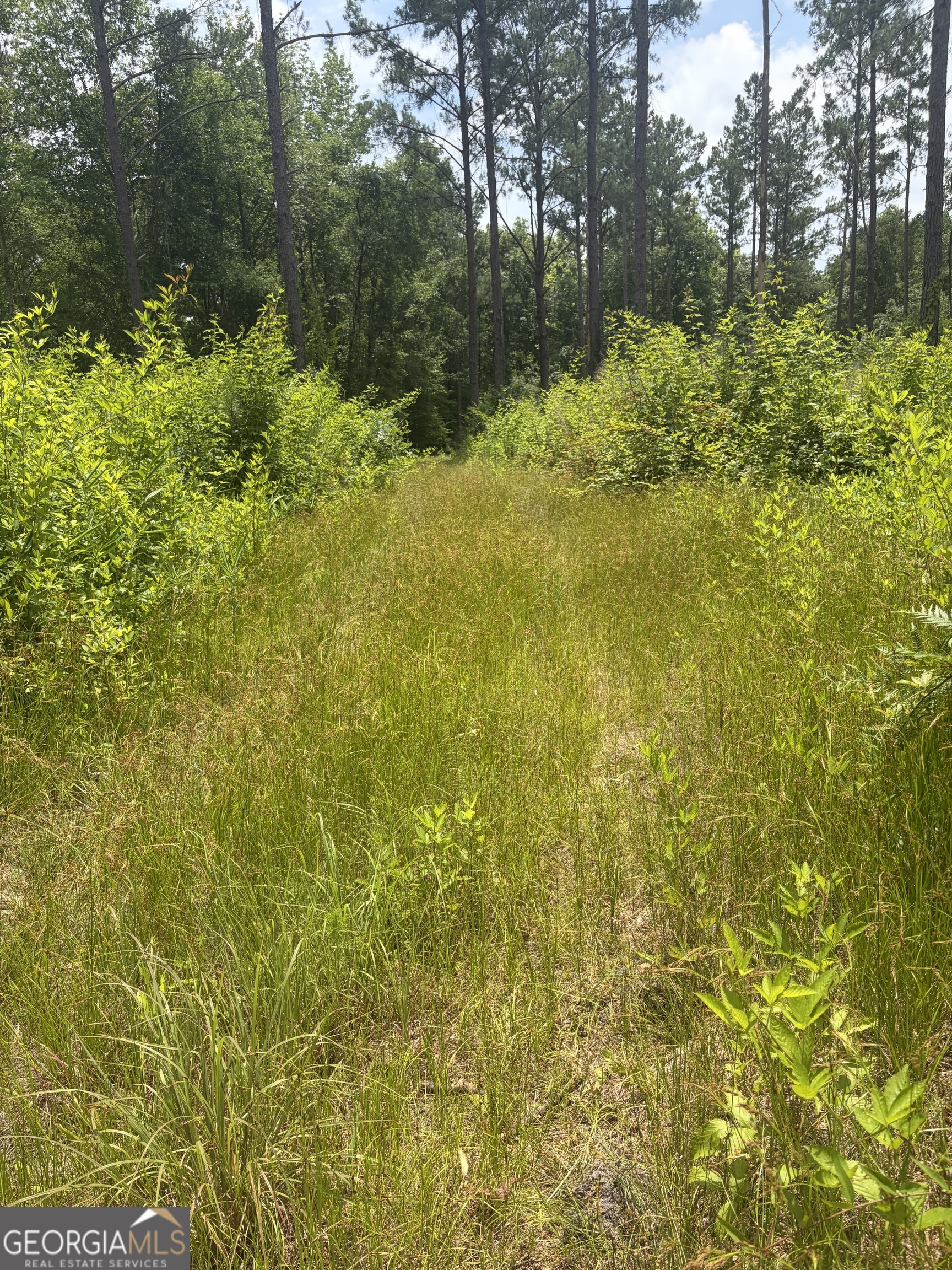 6 Sunhill Grange Road Davisboro GA 31018