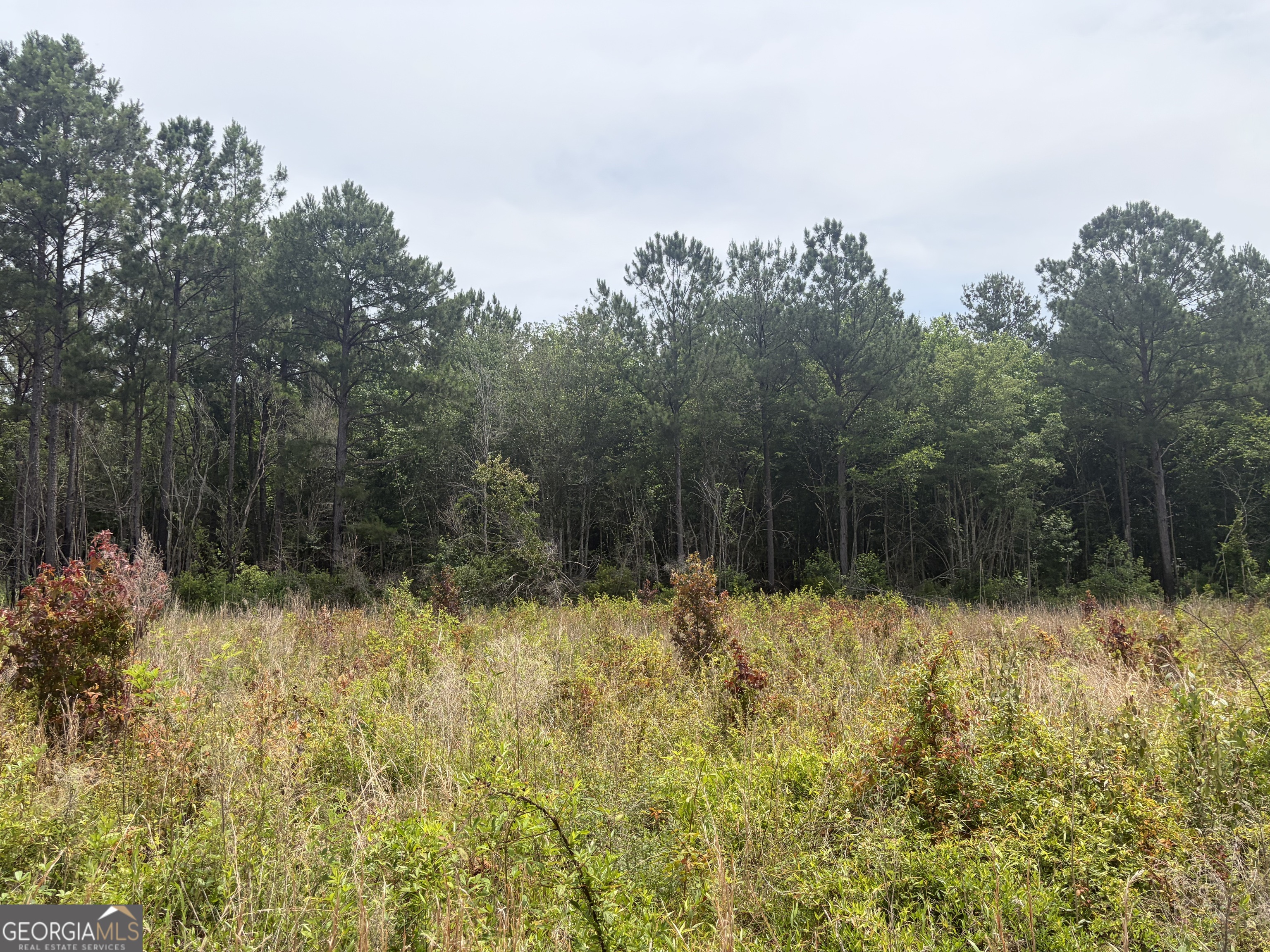 6 Sunhill Grange Road Davisboro GA 31018