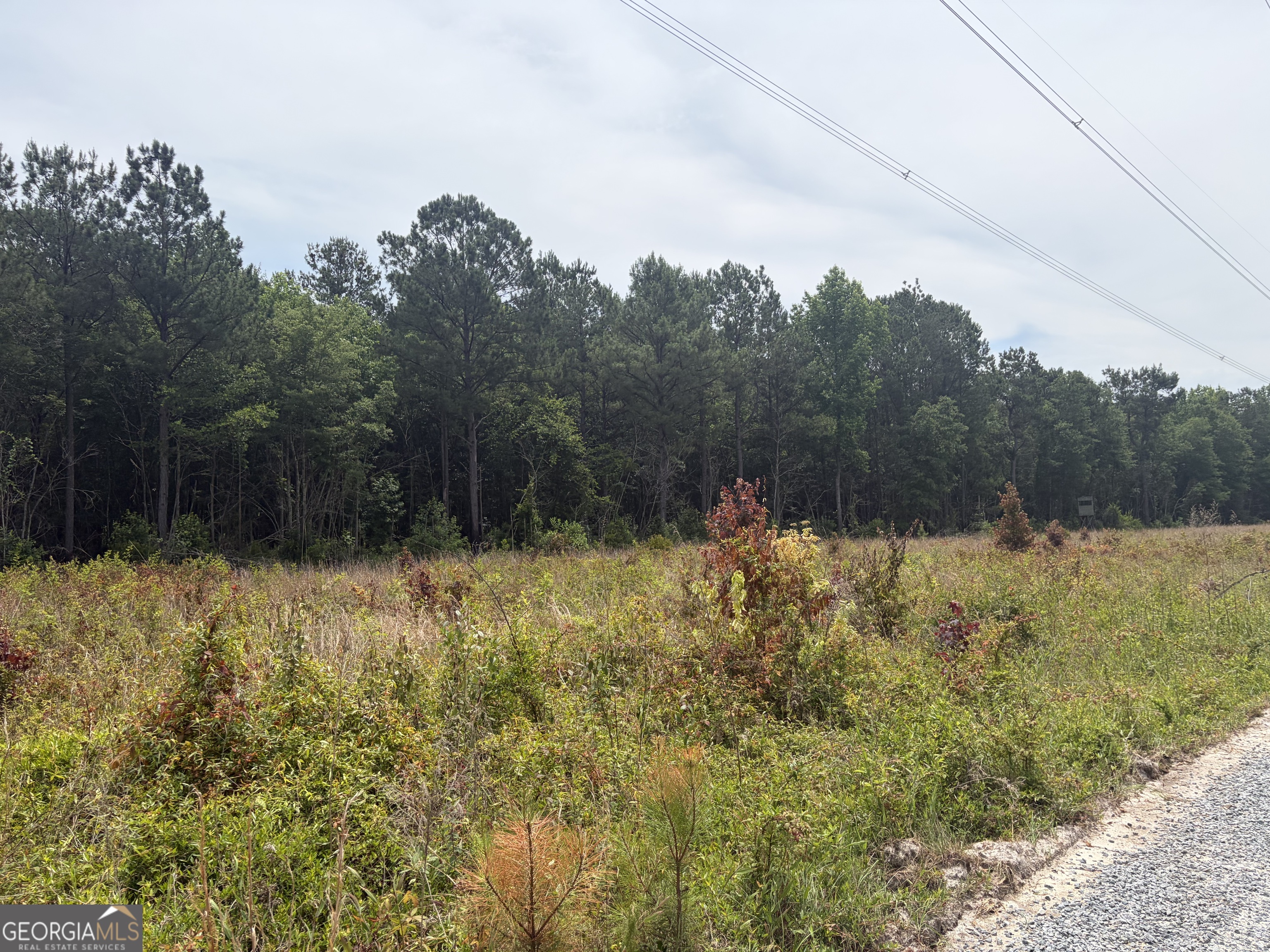 6 Sunhill Grange Road Davisboro GA 31018