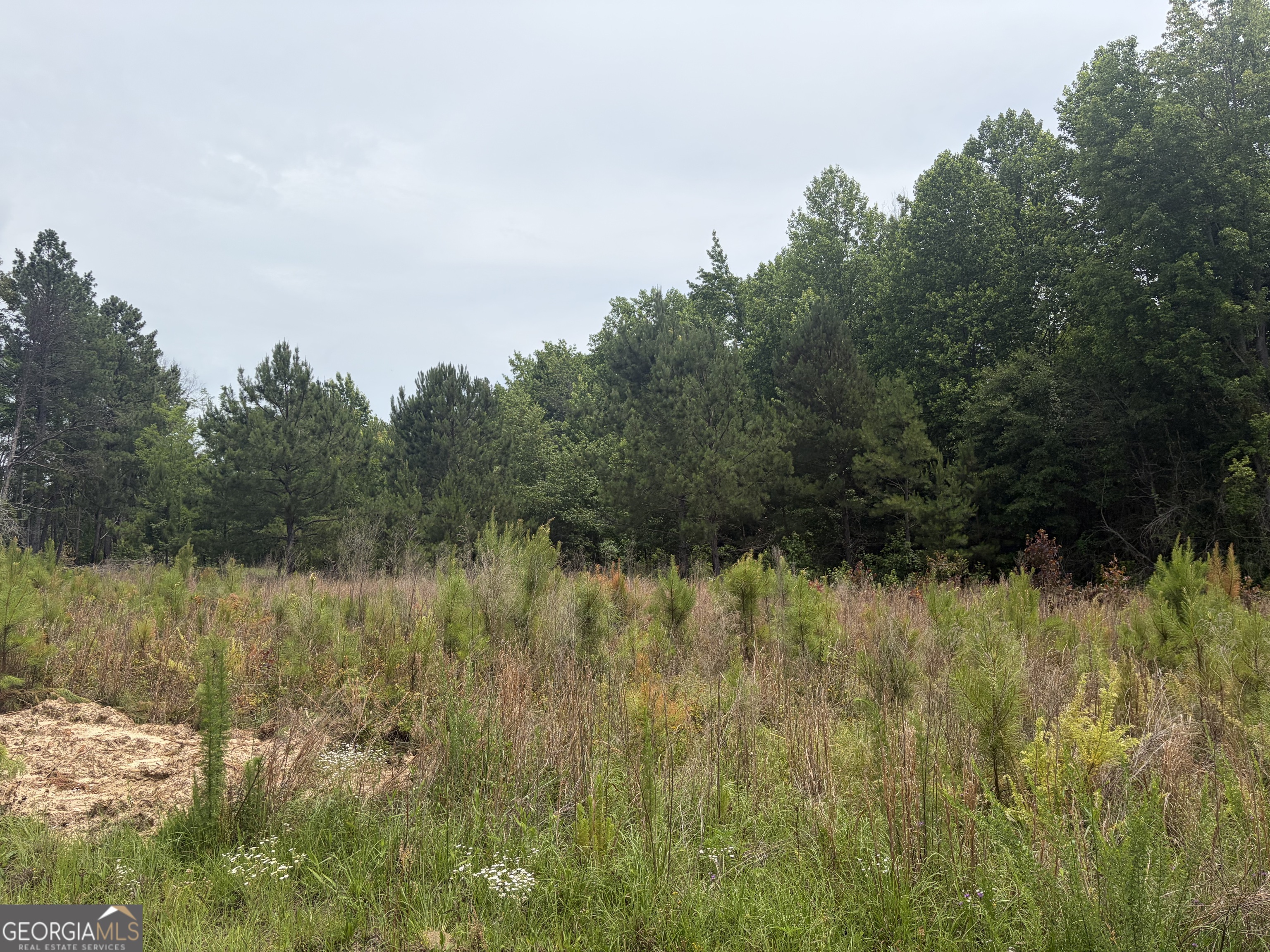 6 Sunhill Grange Road Davisboro GA 31018