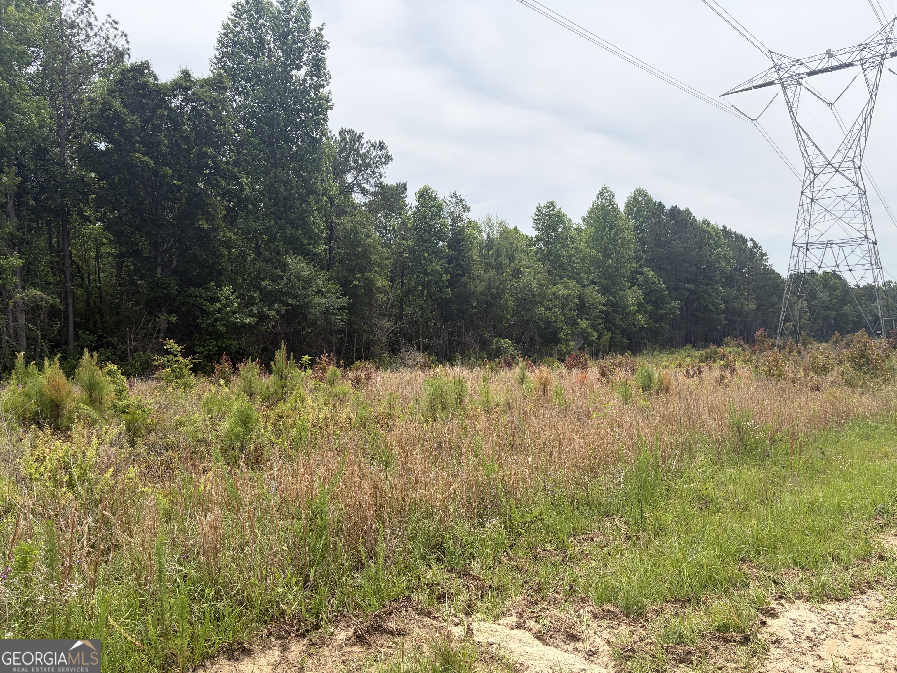 6 Sunhill Grange Road Davisboro GA 31018