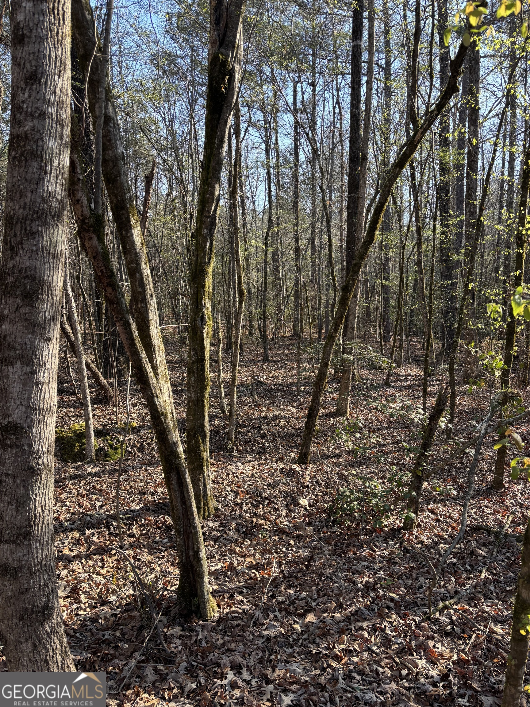 3005 Sr 18 Highway West Point GA 31833