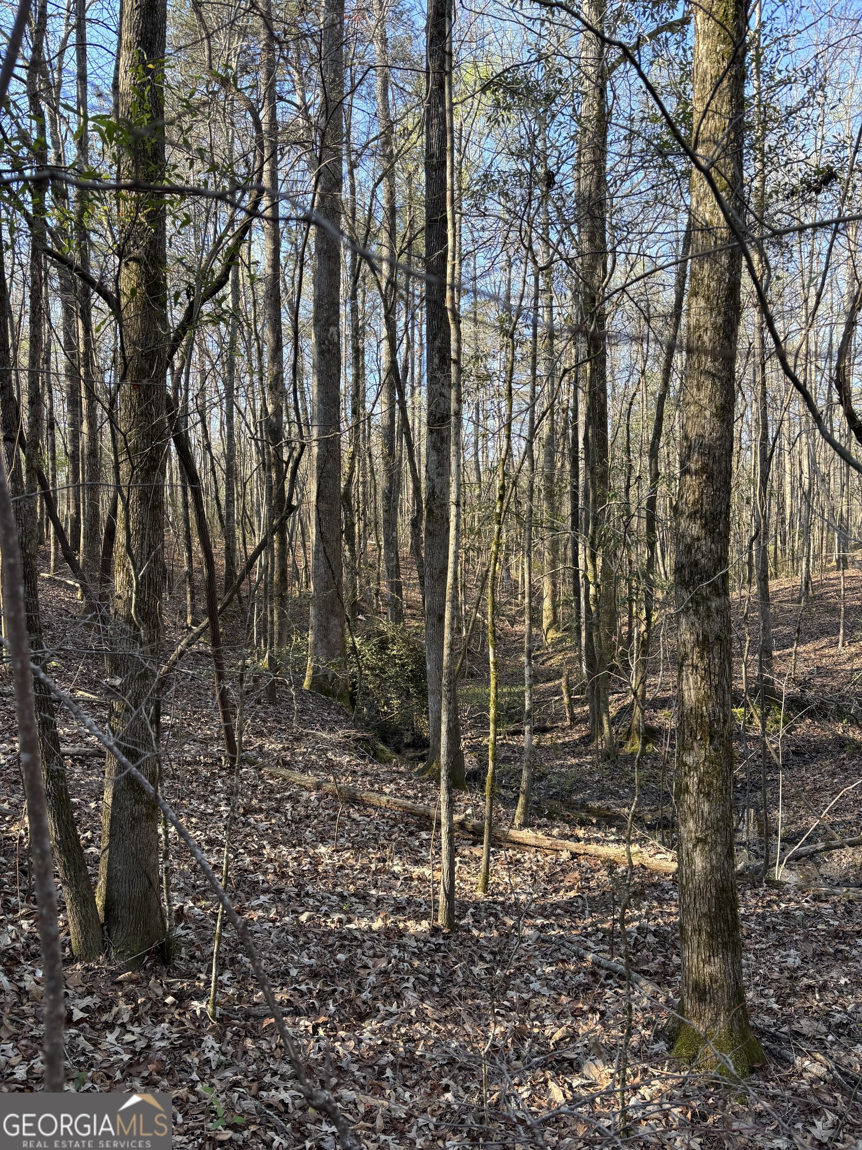 3005 Sr 18 Highway West Point GA 31833