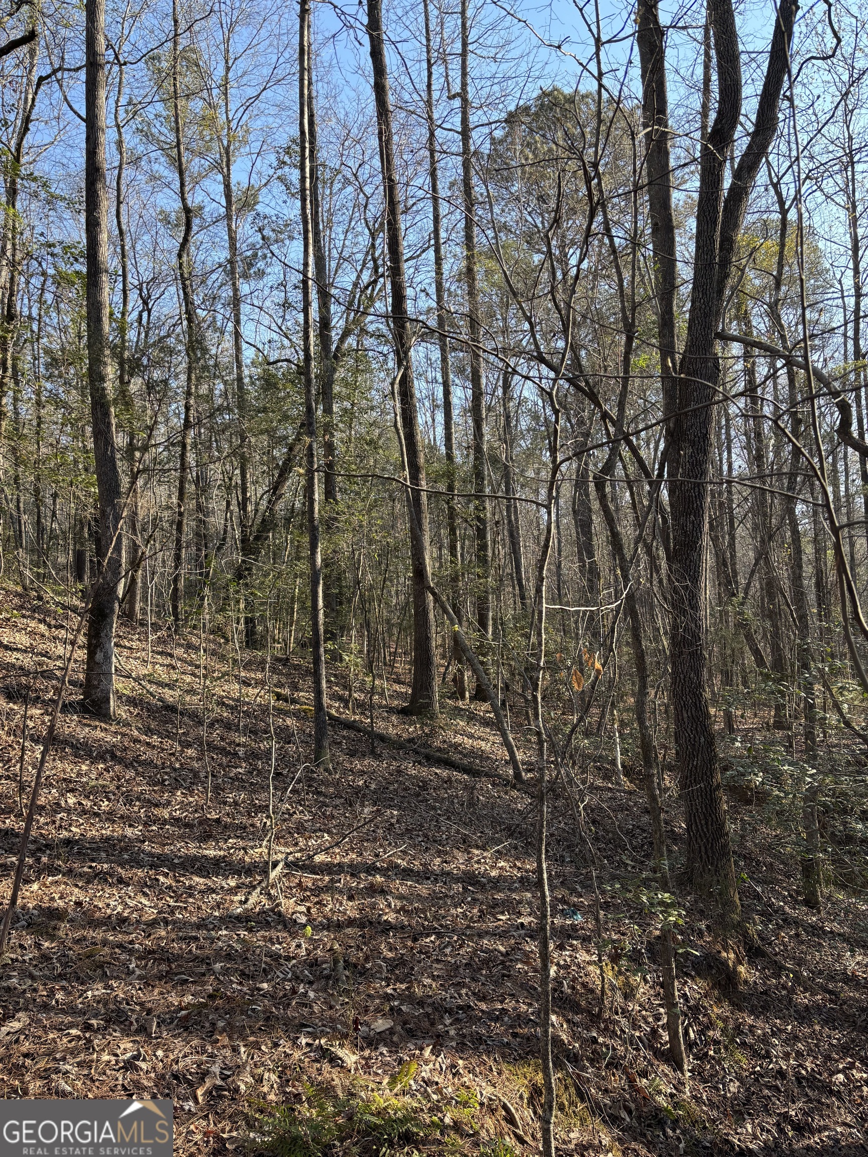 3005 Sr 18 Highway West Point GA 31833