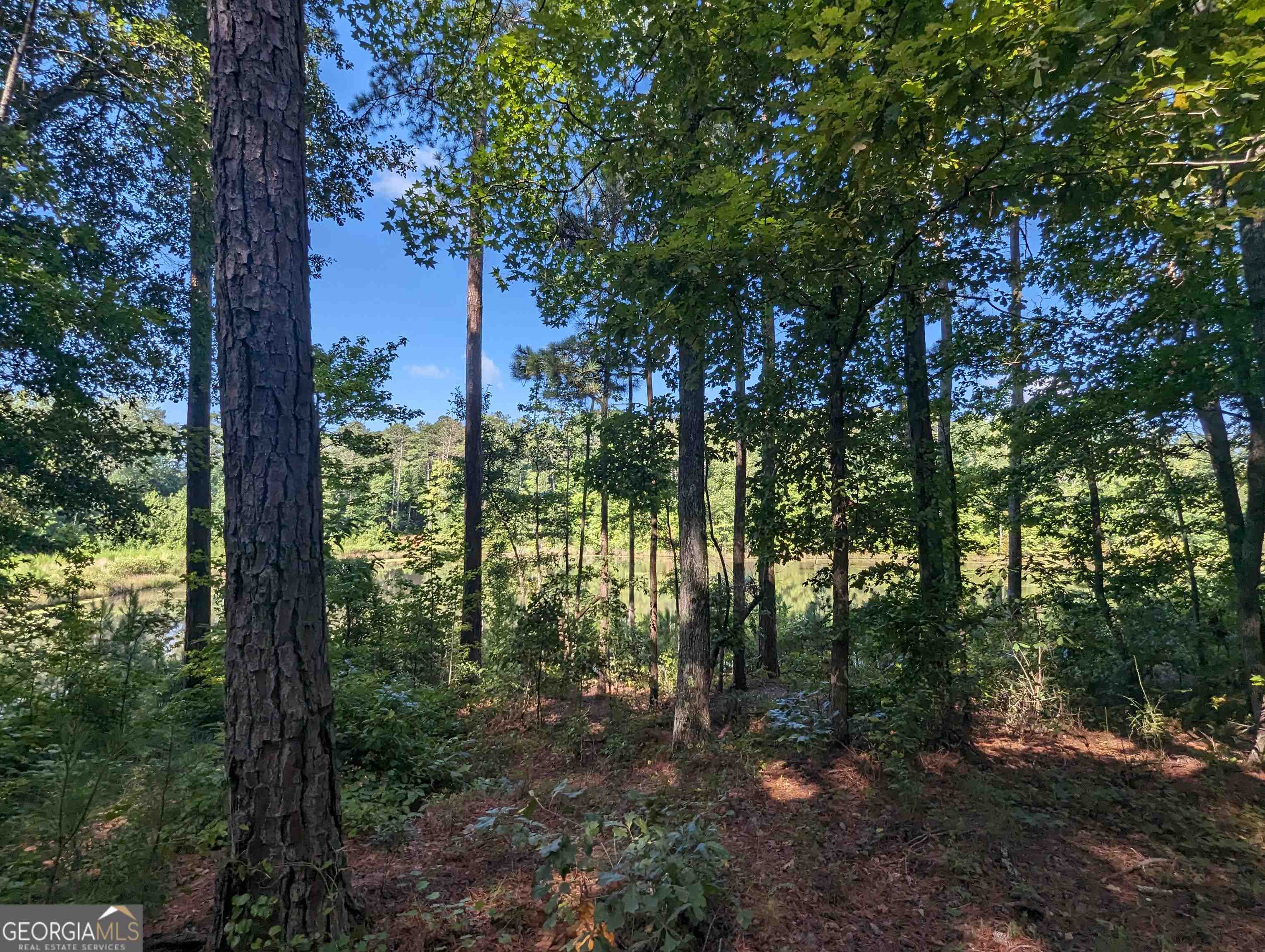 Lot 3 Joe Roberts Road Newnan GA 30263