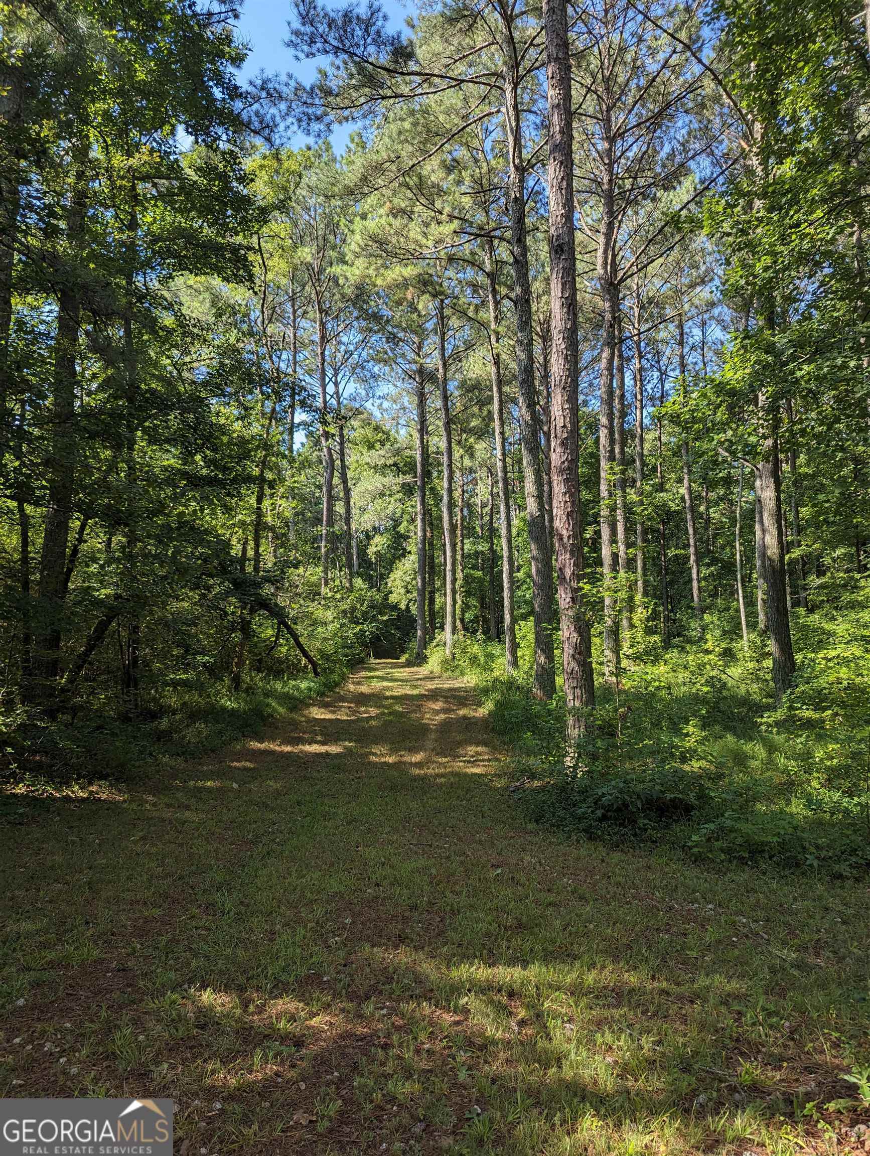 Lot 3 Joe Roberts Road Newnan GA 30263
