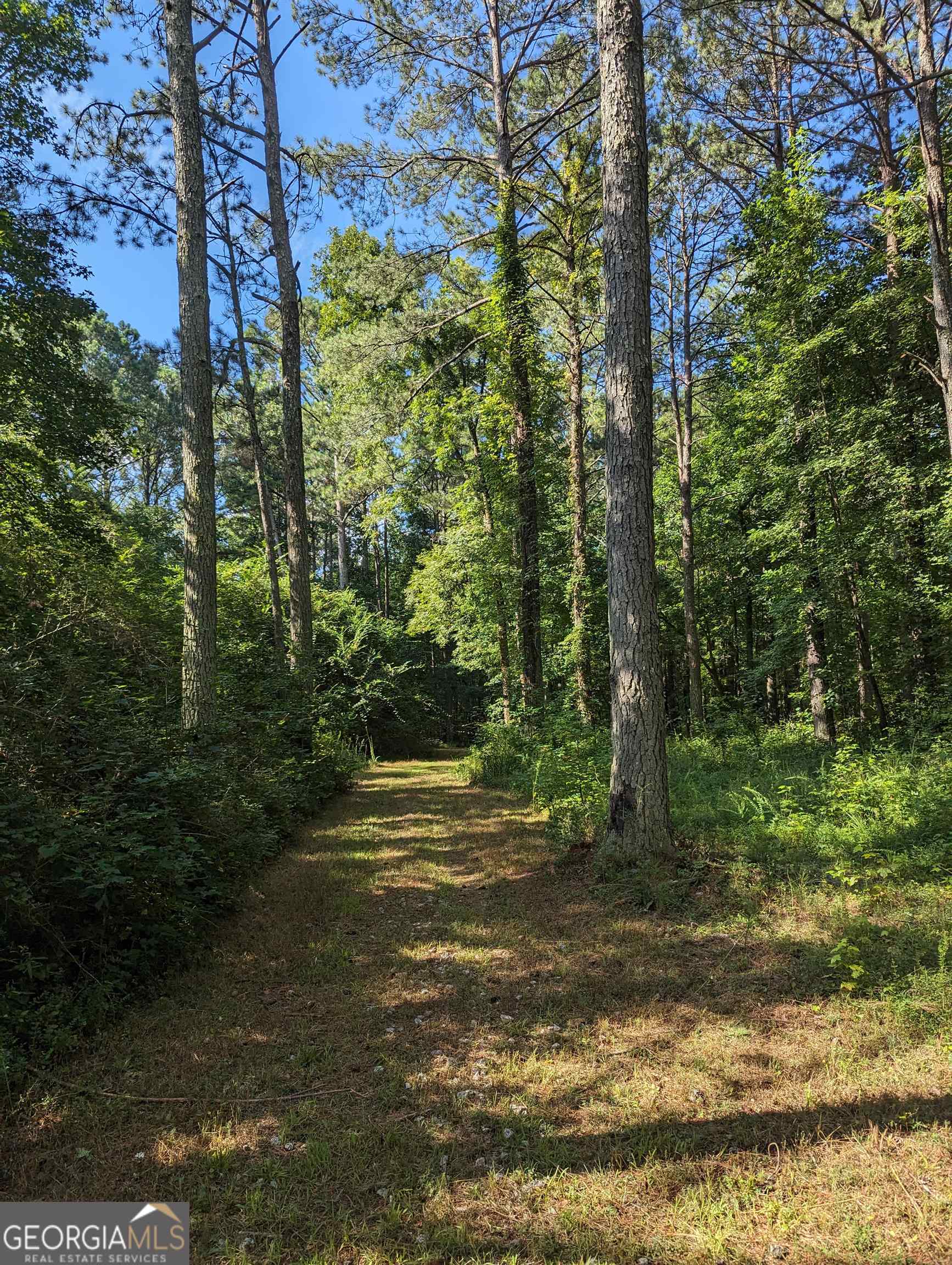 Lot 3 Joe Roberts Road Newnan GA 30263