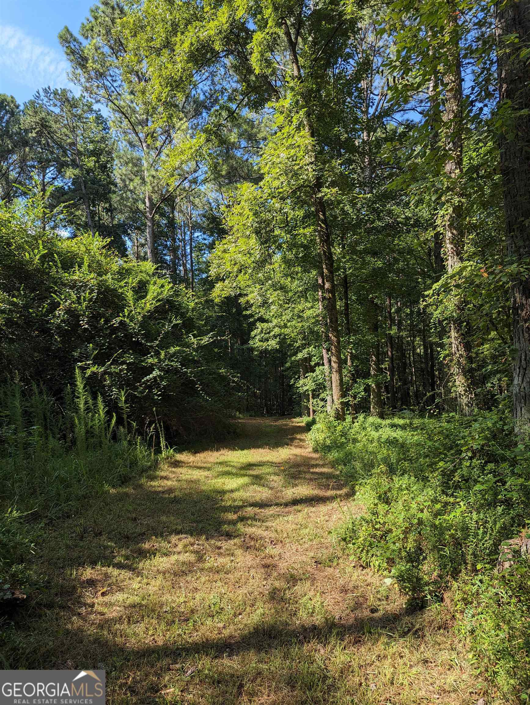 Lot 3 Joe Roberts Road Newnan GA 30263