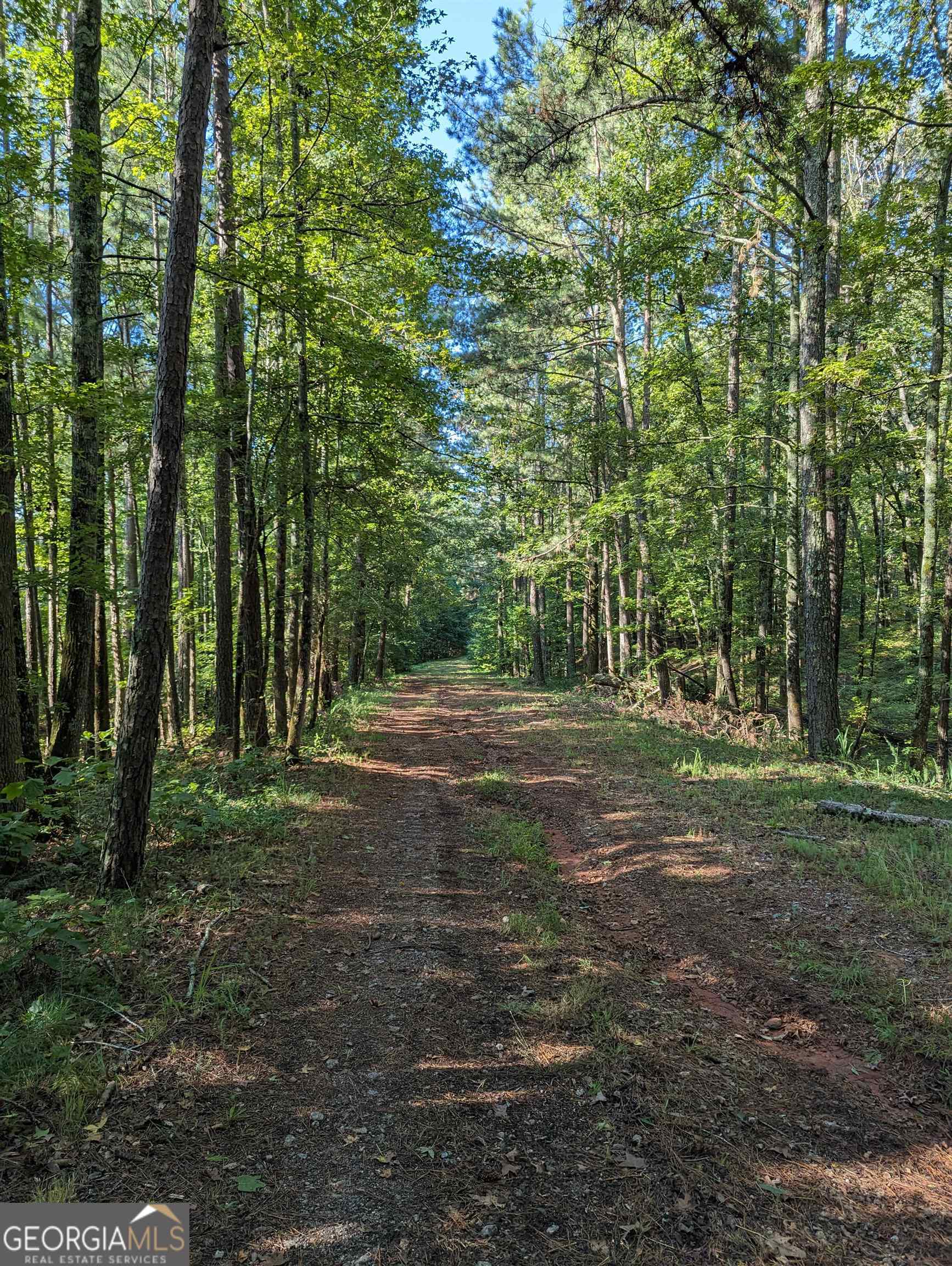 Lot 3 Joe Roberts Road Newnan GA 30263