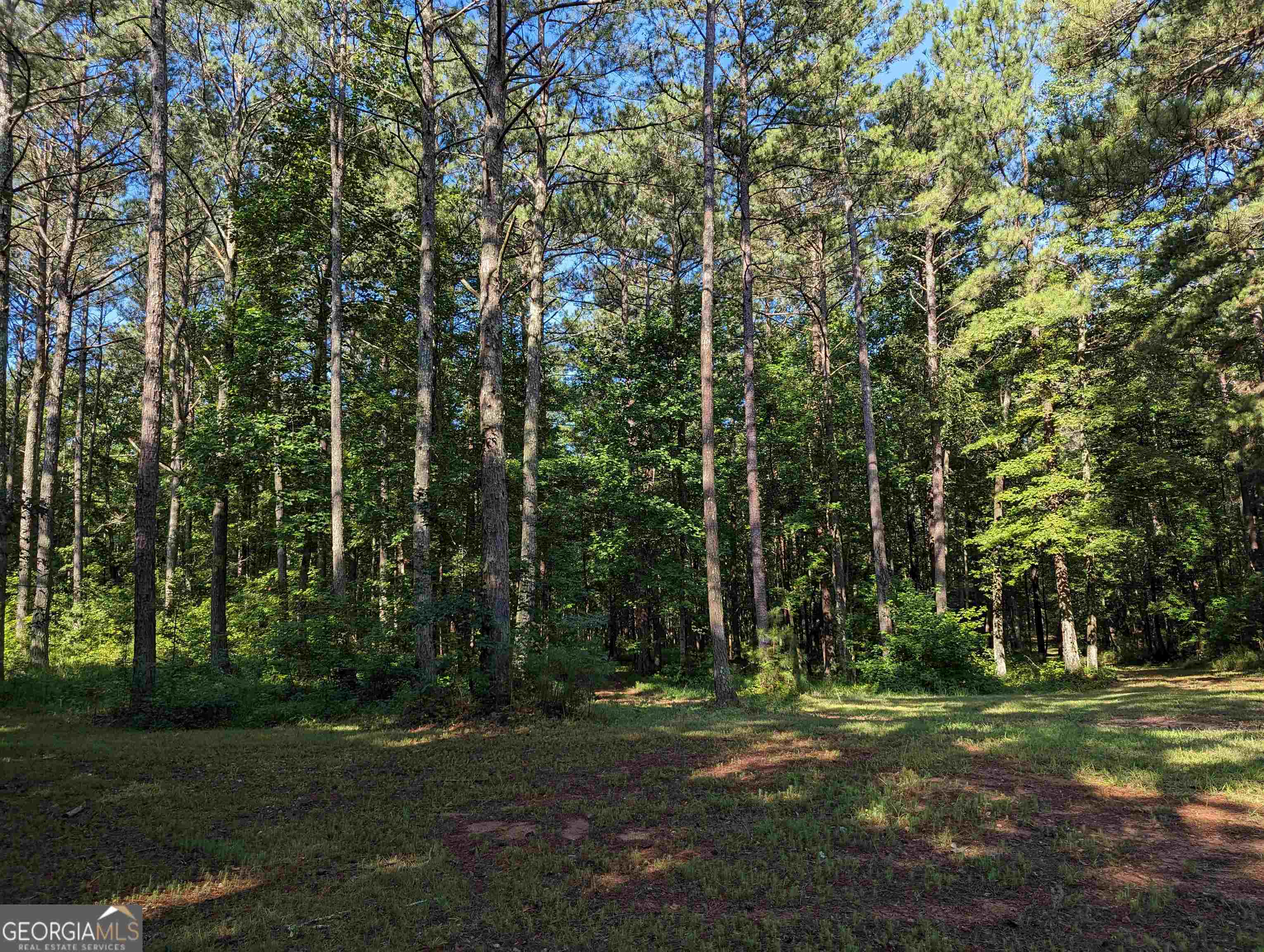 Lot 3 Joe Roberts Road Newnan GA 30263