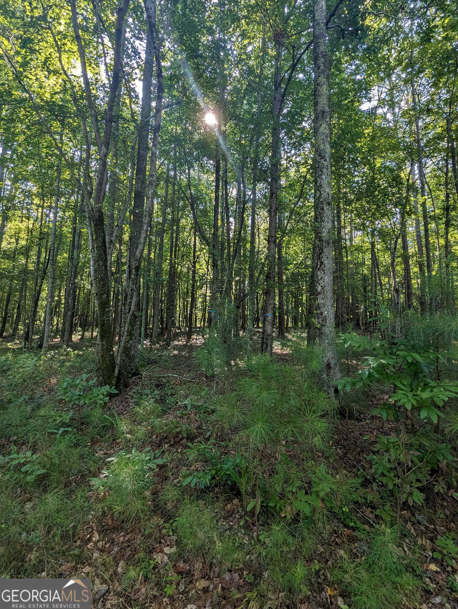Lot 3 Joe Roberts Road Newnan GA 30263