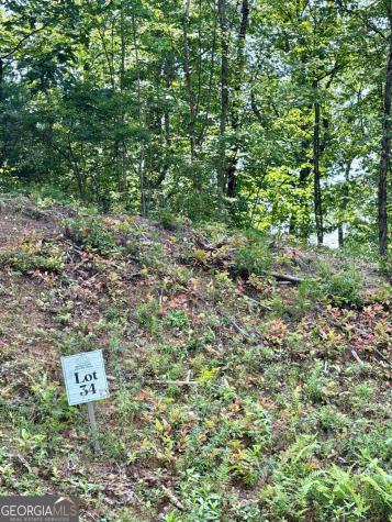 Lot 34 Blue Horizon Drive Blue Ridge GA 30513