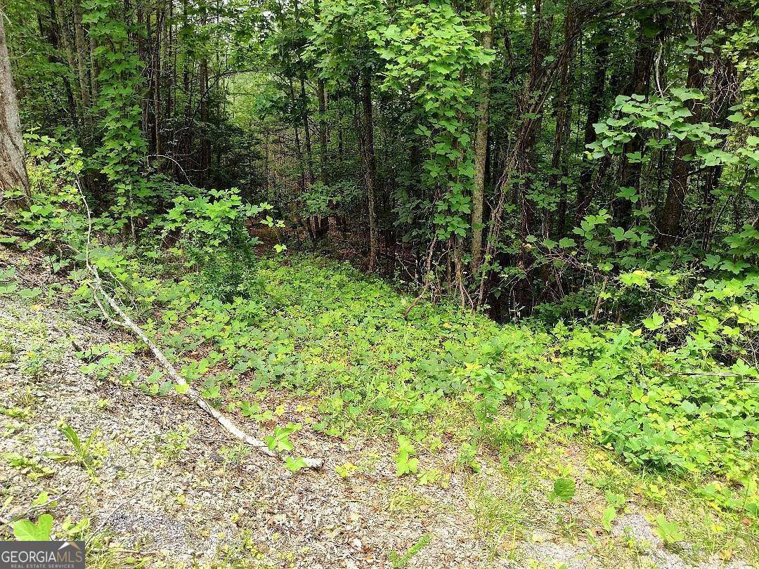 330 Adair Drive Ranger GA 30734
