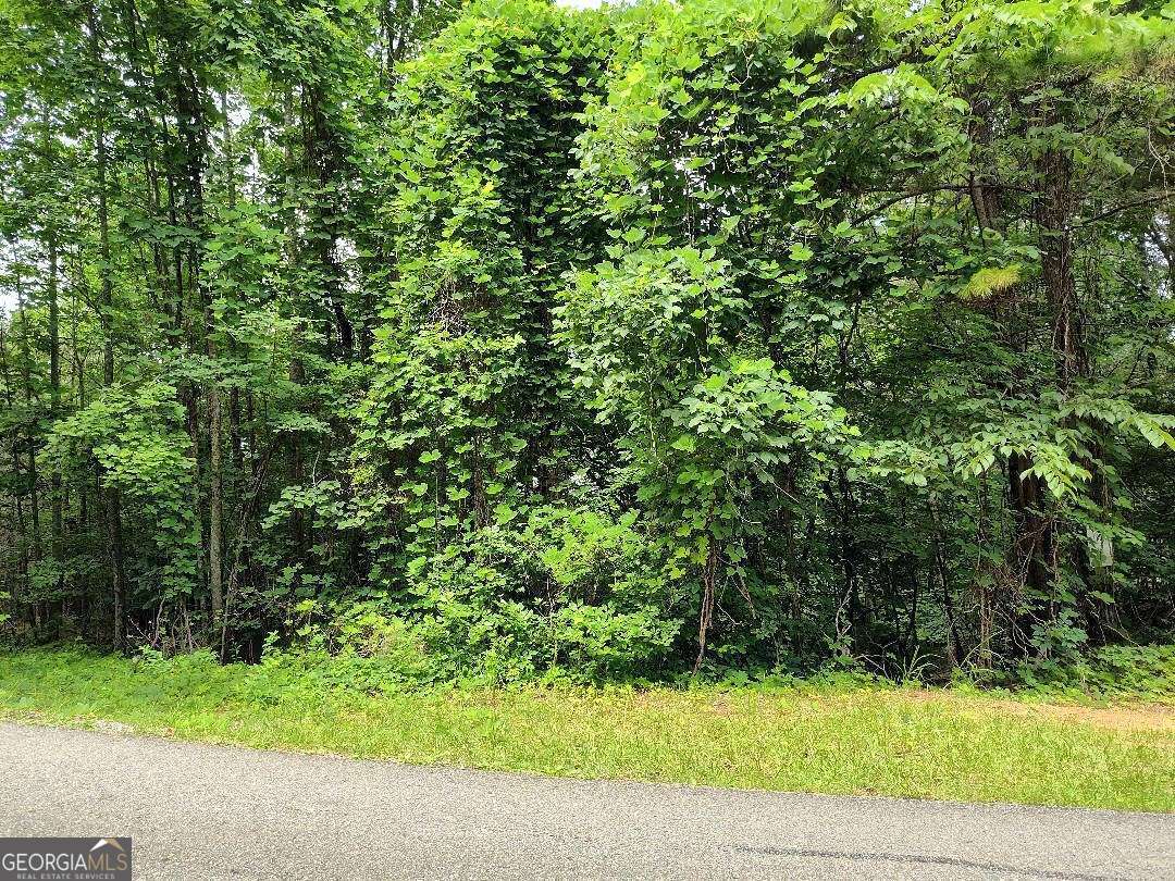 330 Adair Drive Ranger GA 30734