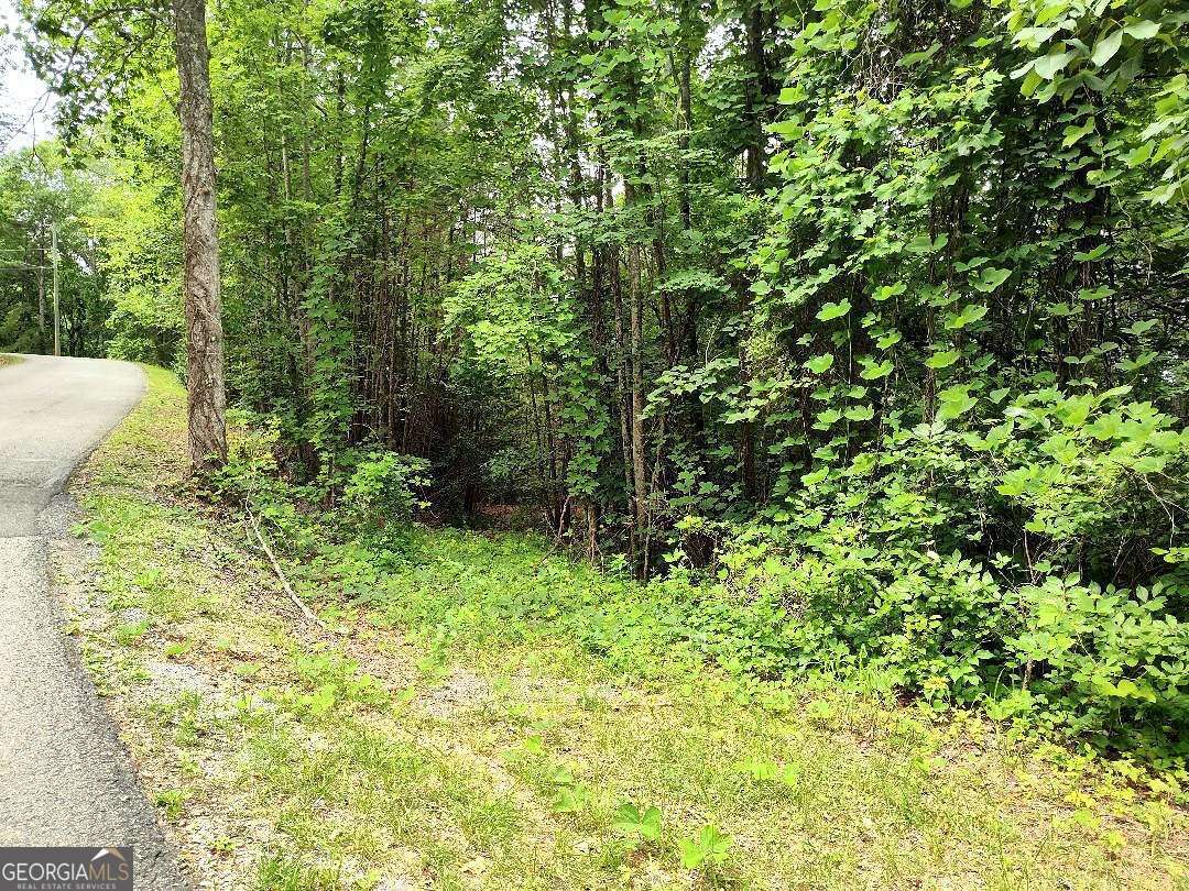 330 Adair Drive Ranger GA 30734