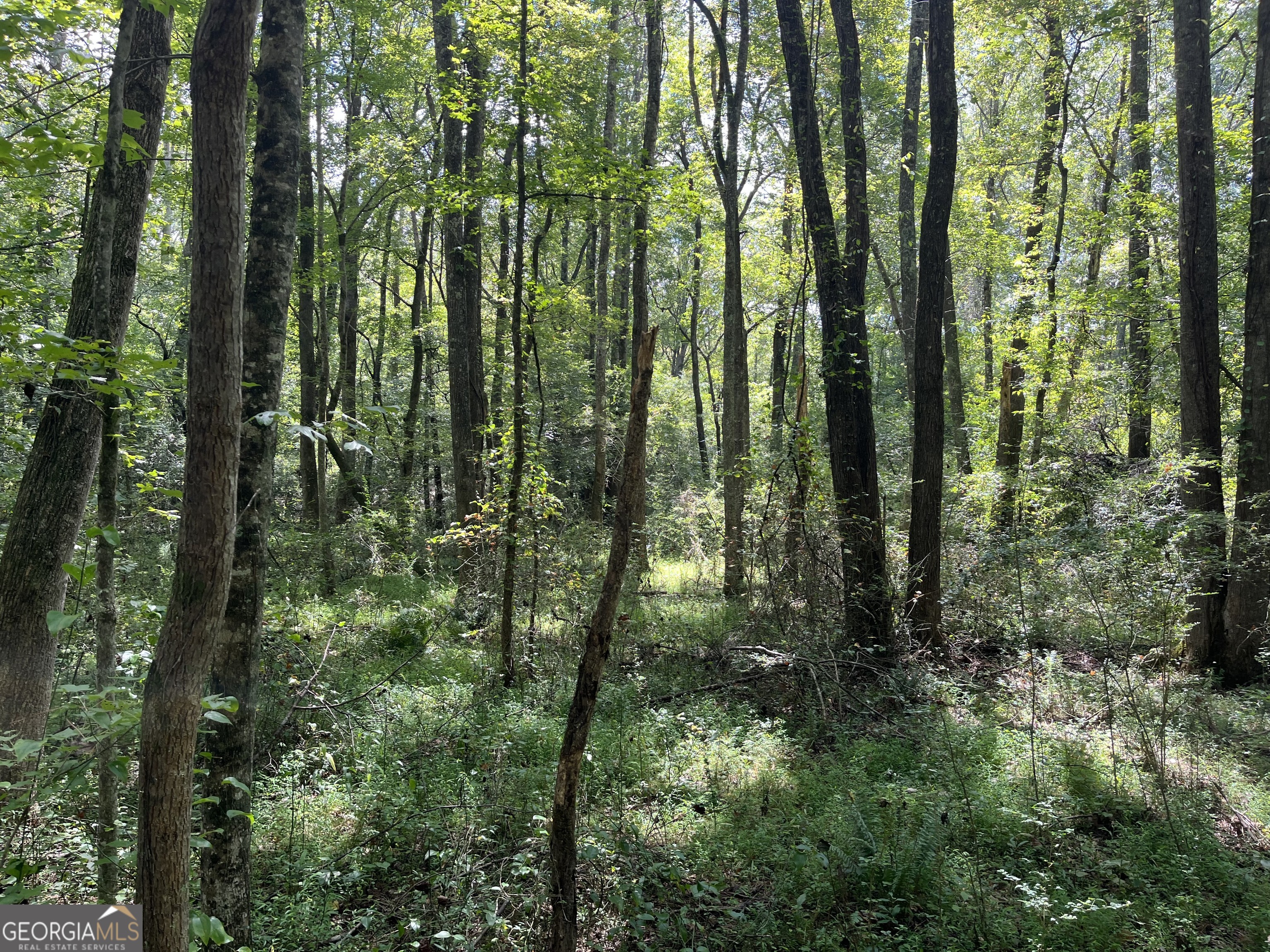 0 Ga Highway 120 Tallapoosa GA 30176