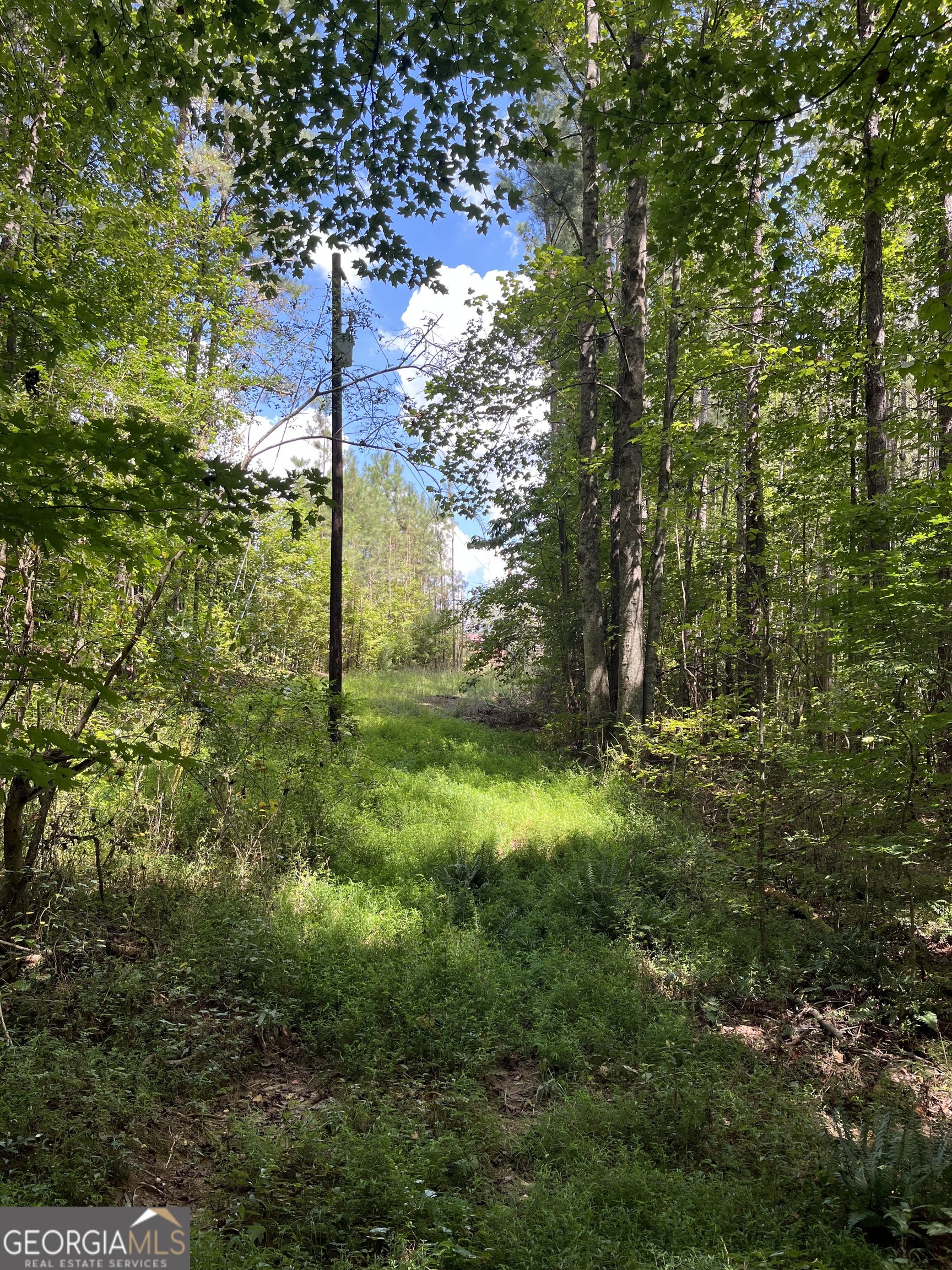 0 Ga Highway 120 Tallapoosa GA 30176