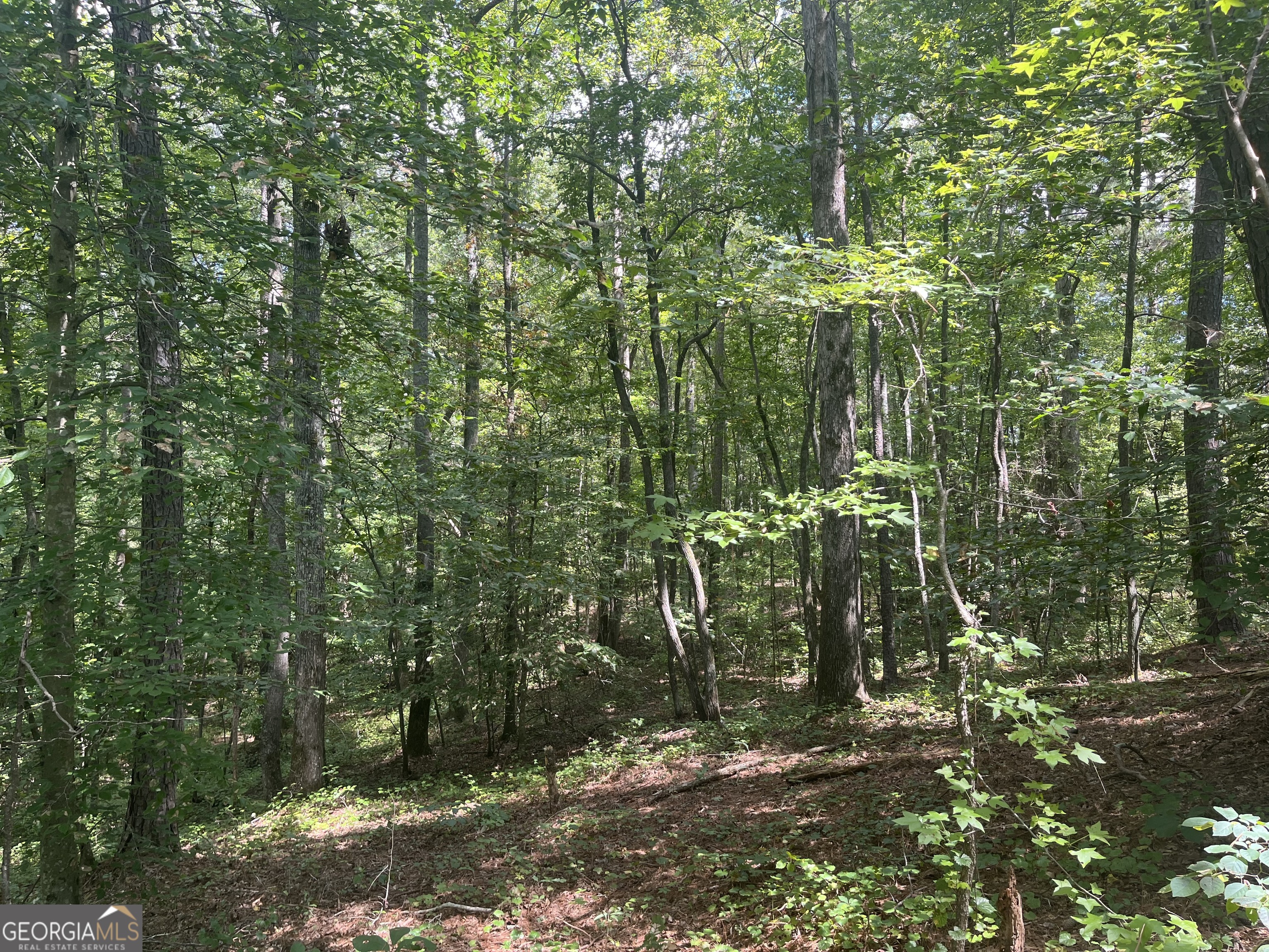0 Ga Highway 120 Tallapoosa GA 30176