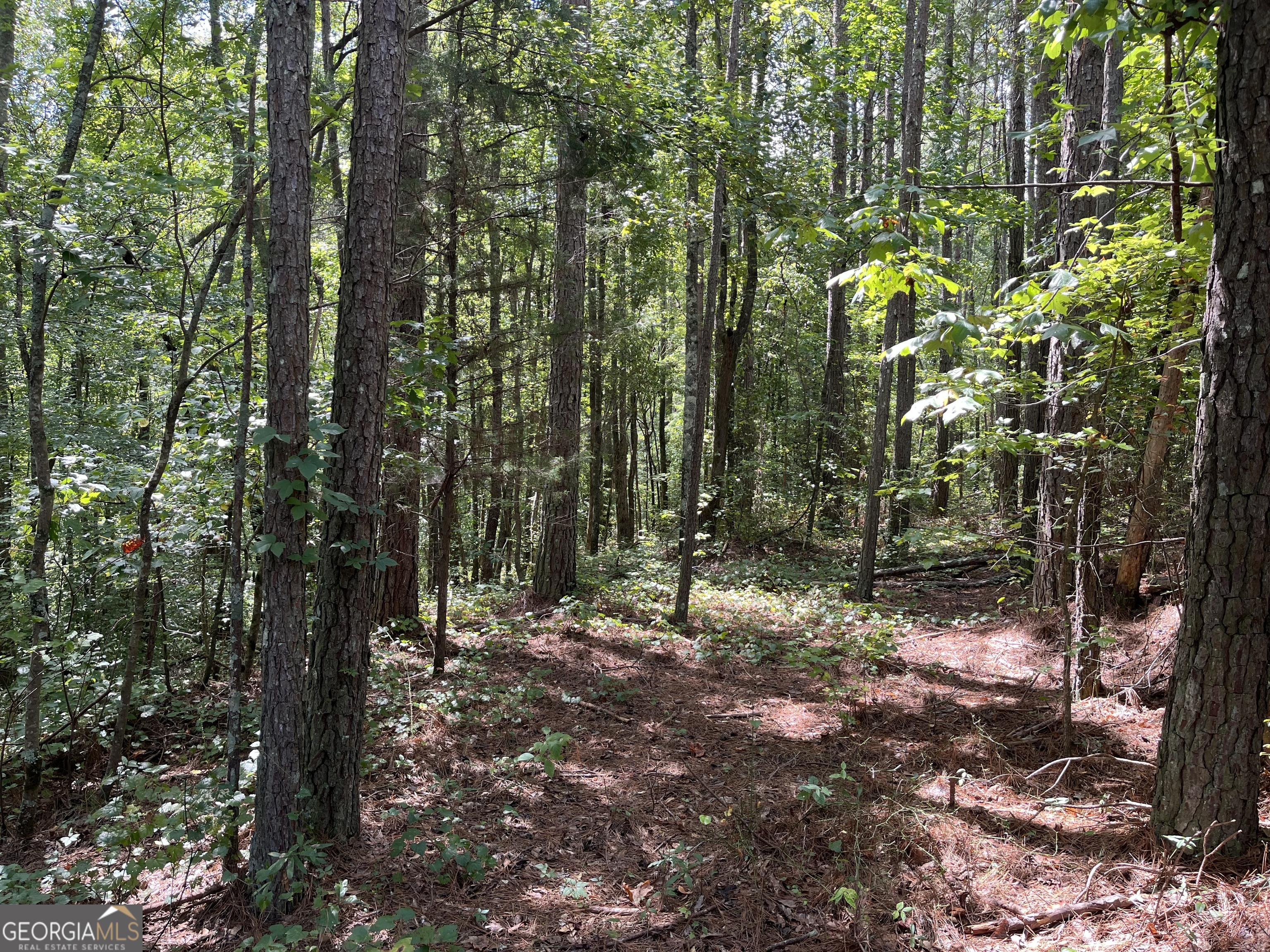 0 Ga Highway 120 Tallapoosa GA 30176