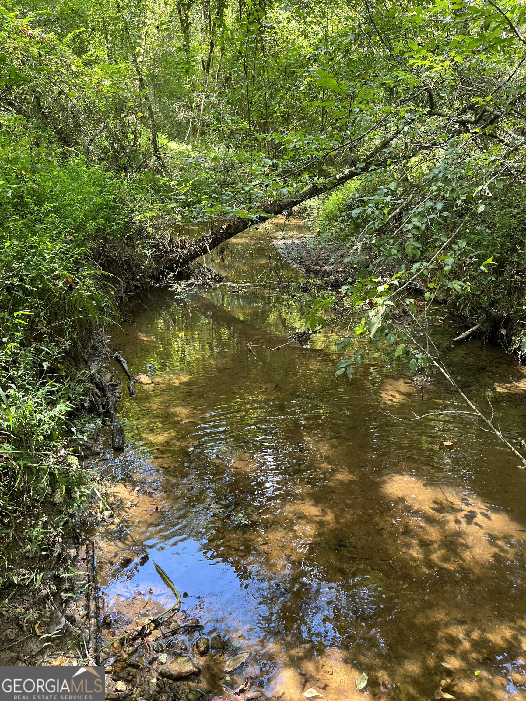 0 Ga Highway 120 Tallapoosa GA 30176