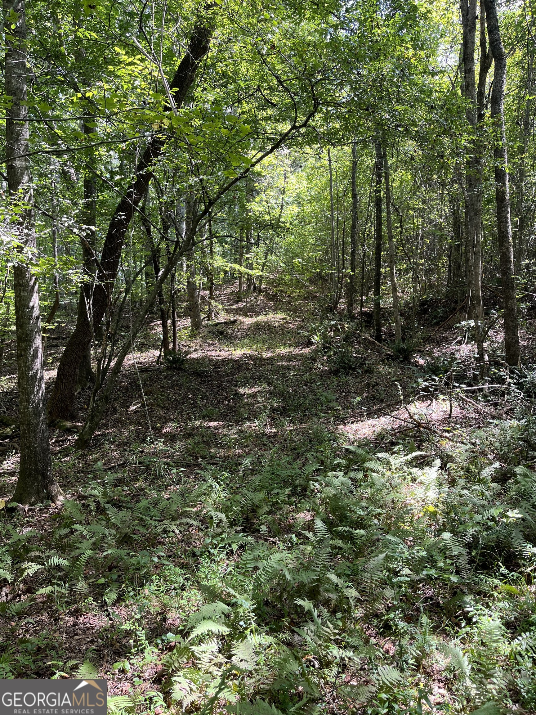 0 Ga Highway 120 Tallapoosa GA 30176