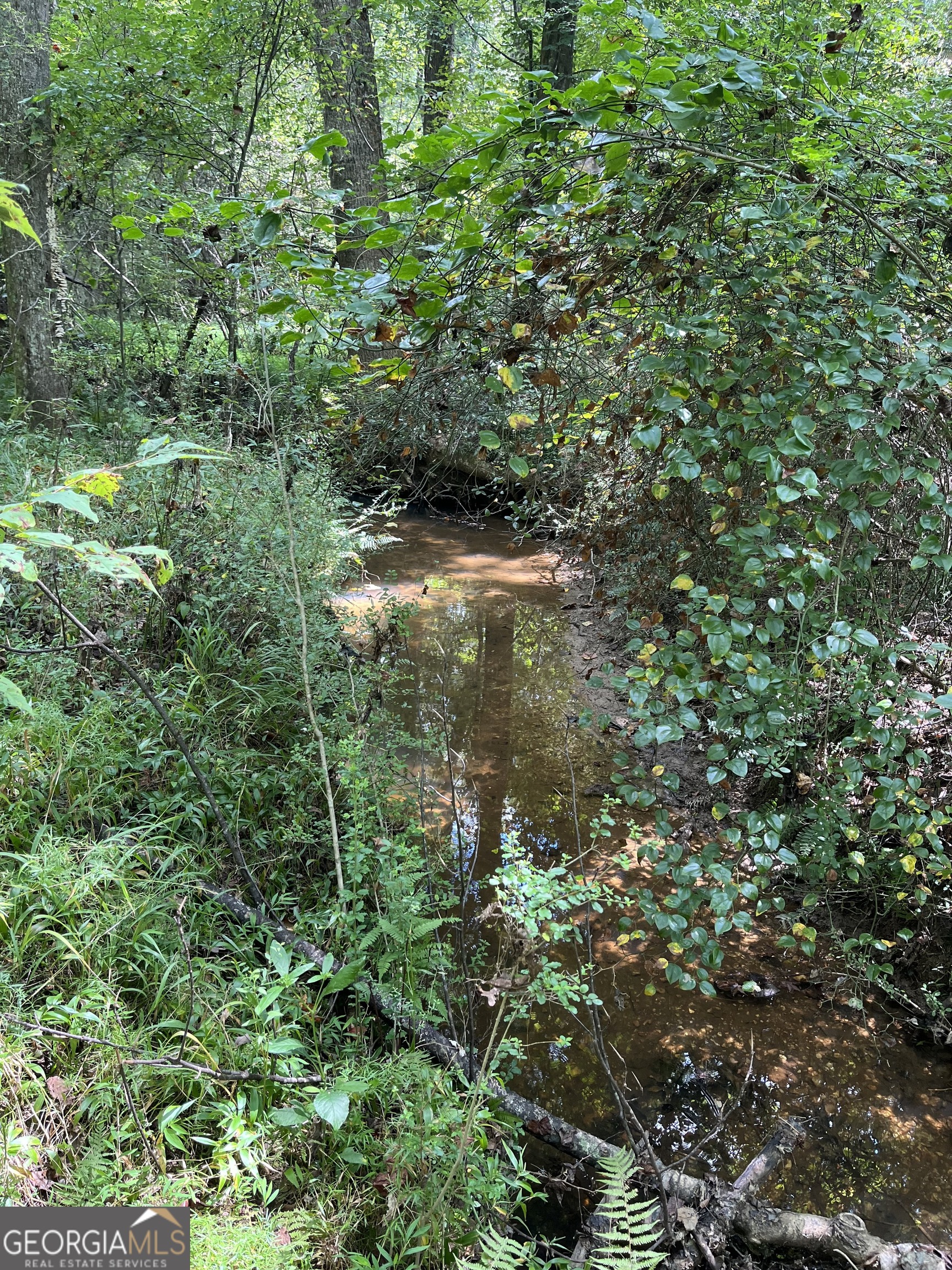 0 Ga Highway 120 Tallapoosa GA 30176