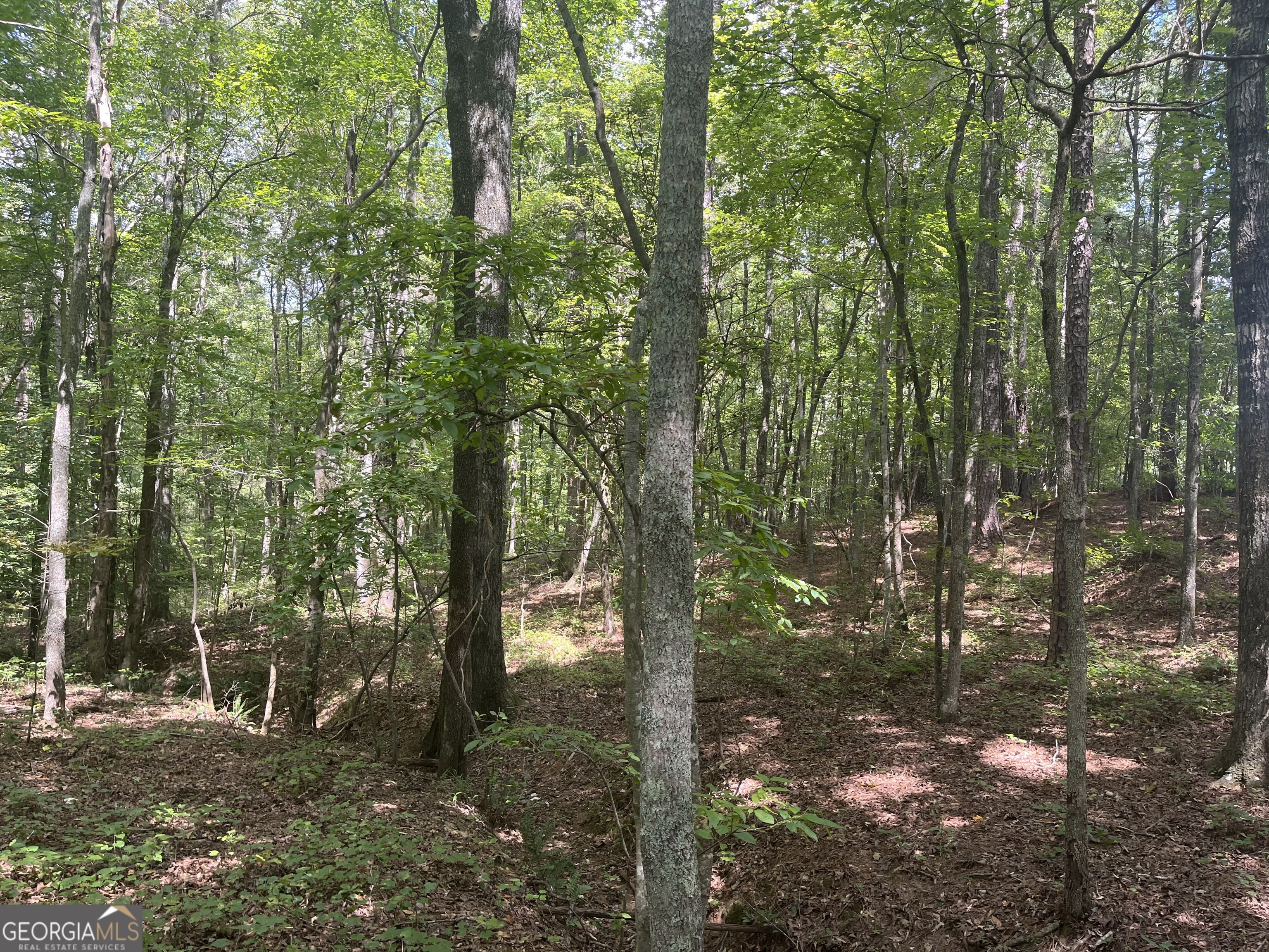 0 Ga Highway 120 Tallapoosa GA 30176