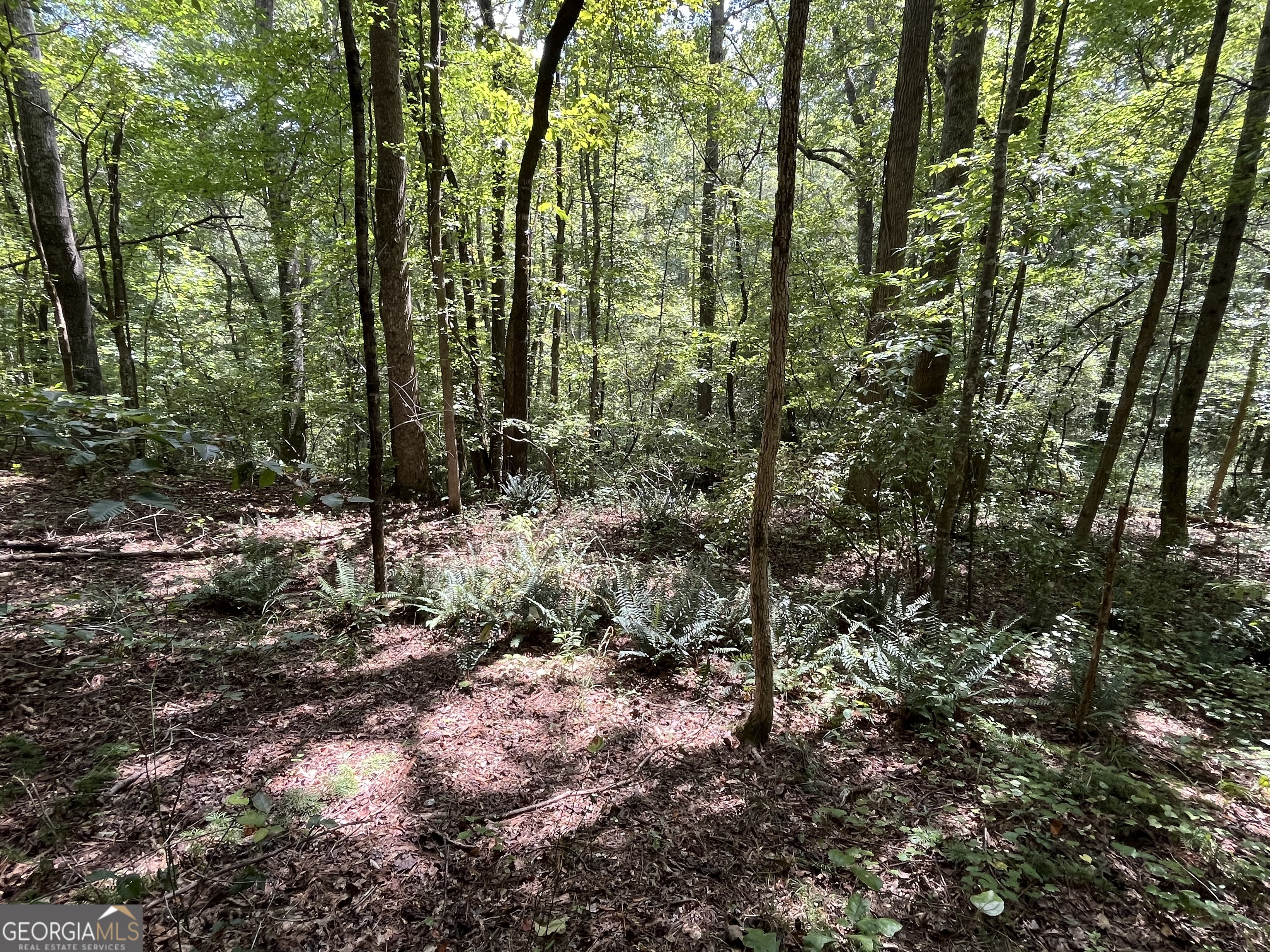 0 Ga Highway 120 Tallapoosa GA 30176