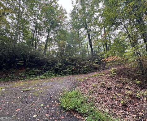Lot 6 Sequoia Hills Lane Clayton GA 30525