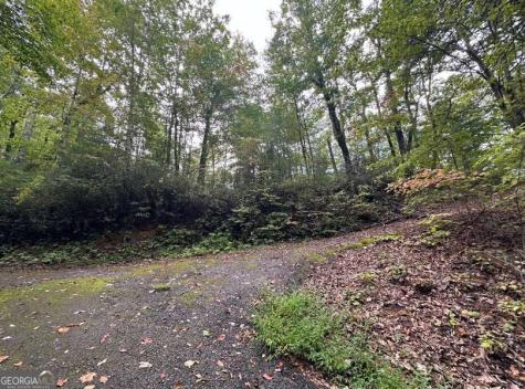 Lot 6 Sequoia Hills Lane Clayton GA 30525