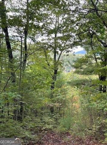 Lot 6 Sequoia Hills Lane Clayton GA 30525