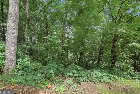 Lot G1 Waterfall Drive Clayton GA 30525