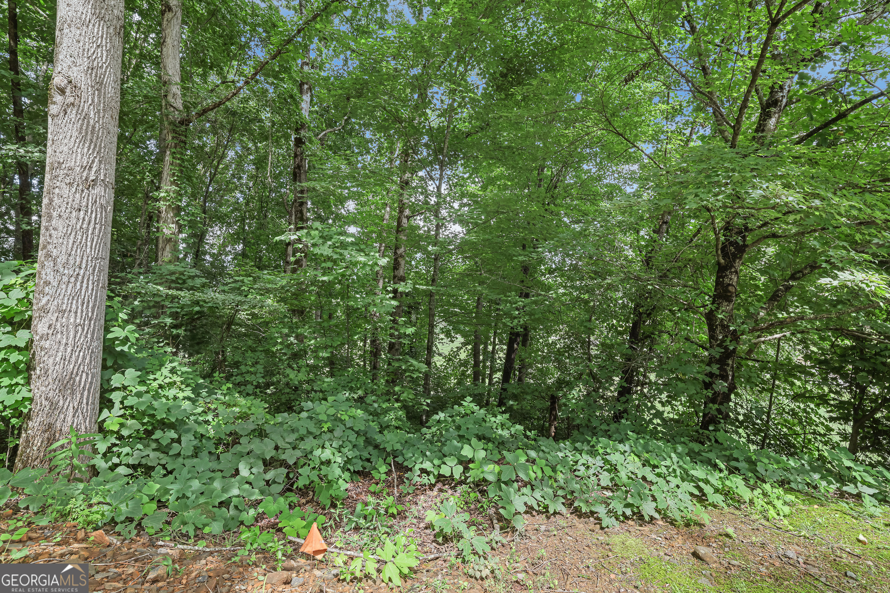 Lot G1 Waterfall Drive Clayton GA 30525