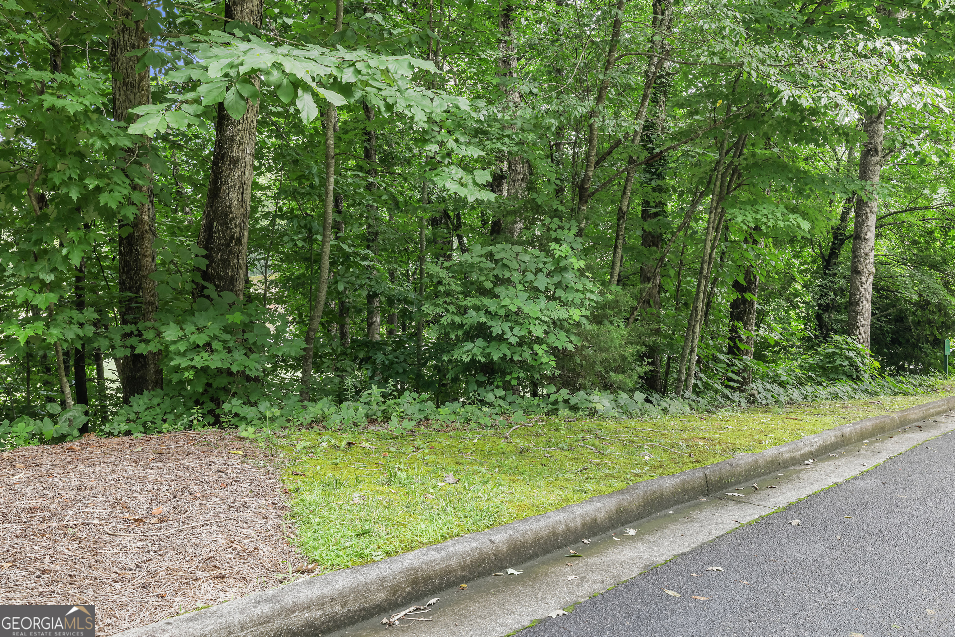 Lot G1 Waterfall Drive Clayton GA 30525