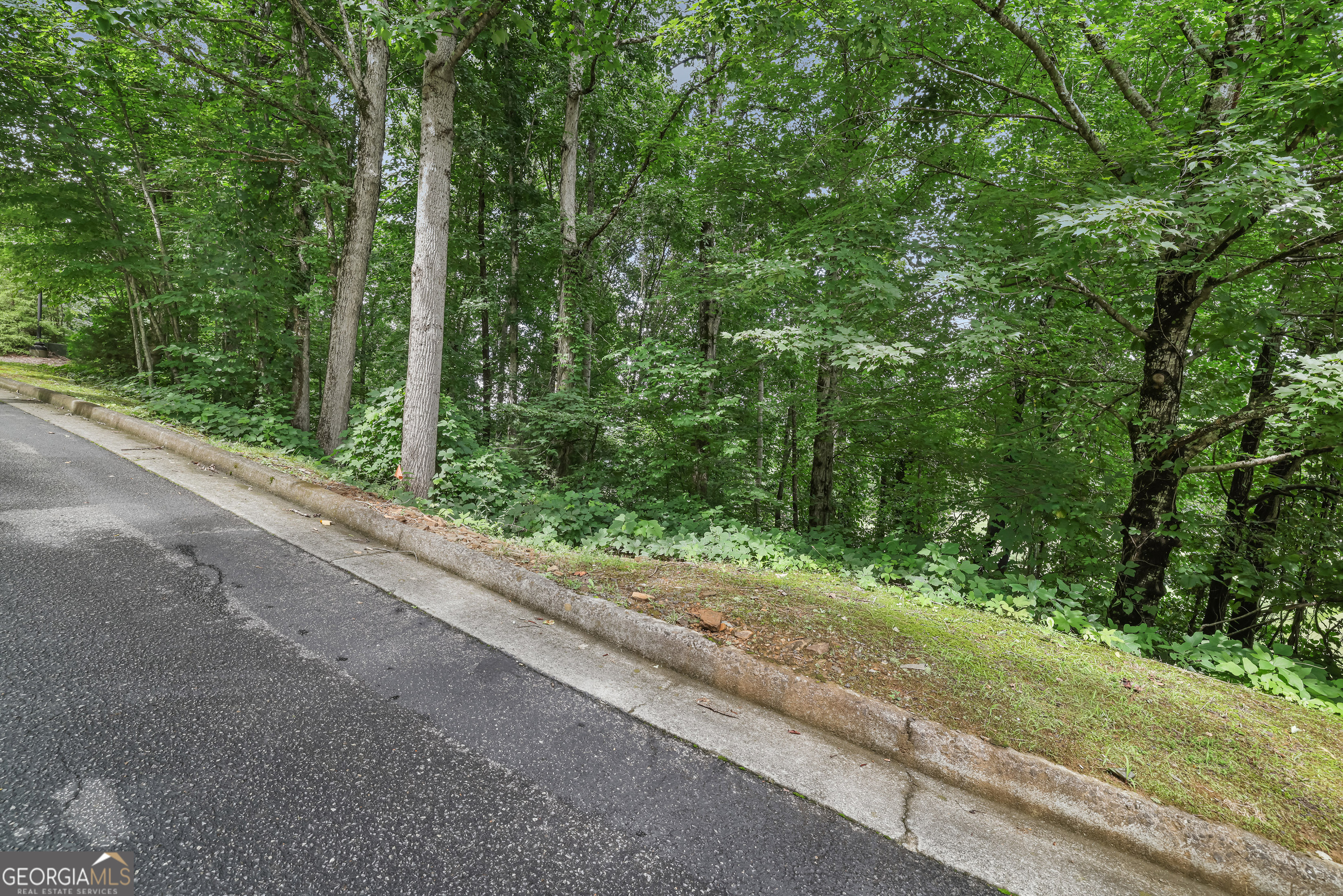 Lot G1 Waterfall Drive Clayton GA 30525