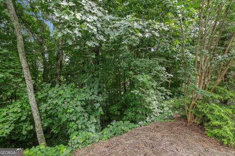 Lot G1 Waterfall Drive Clayton GA 30525
