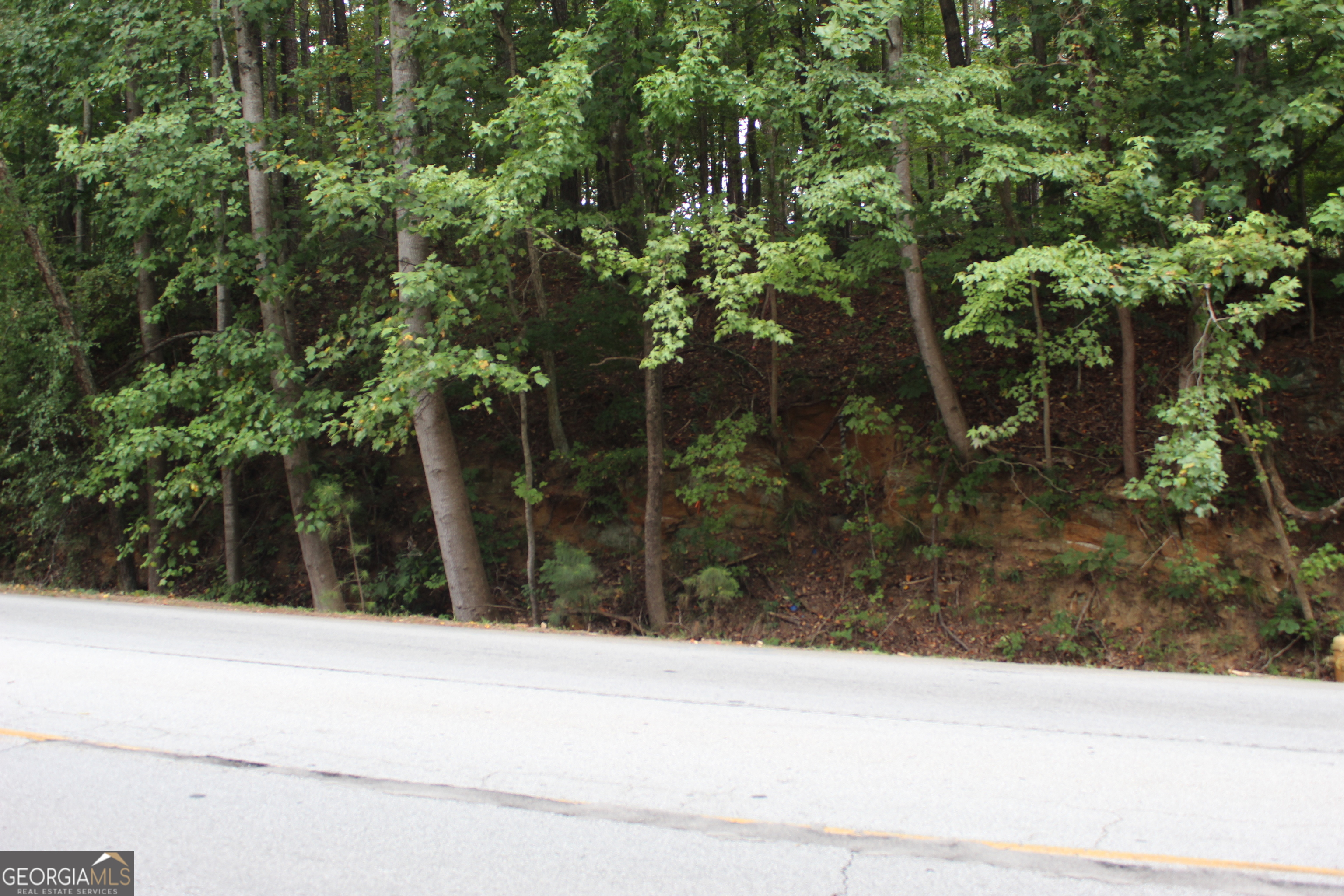441 N Deshong Road Stone Mountain GA 30087