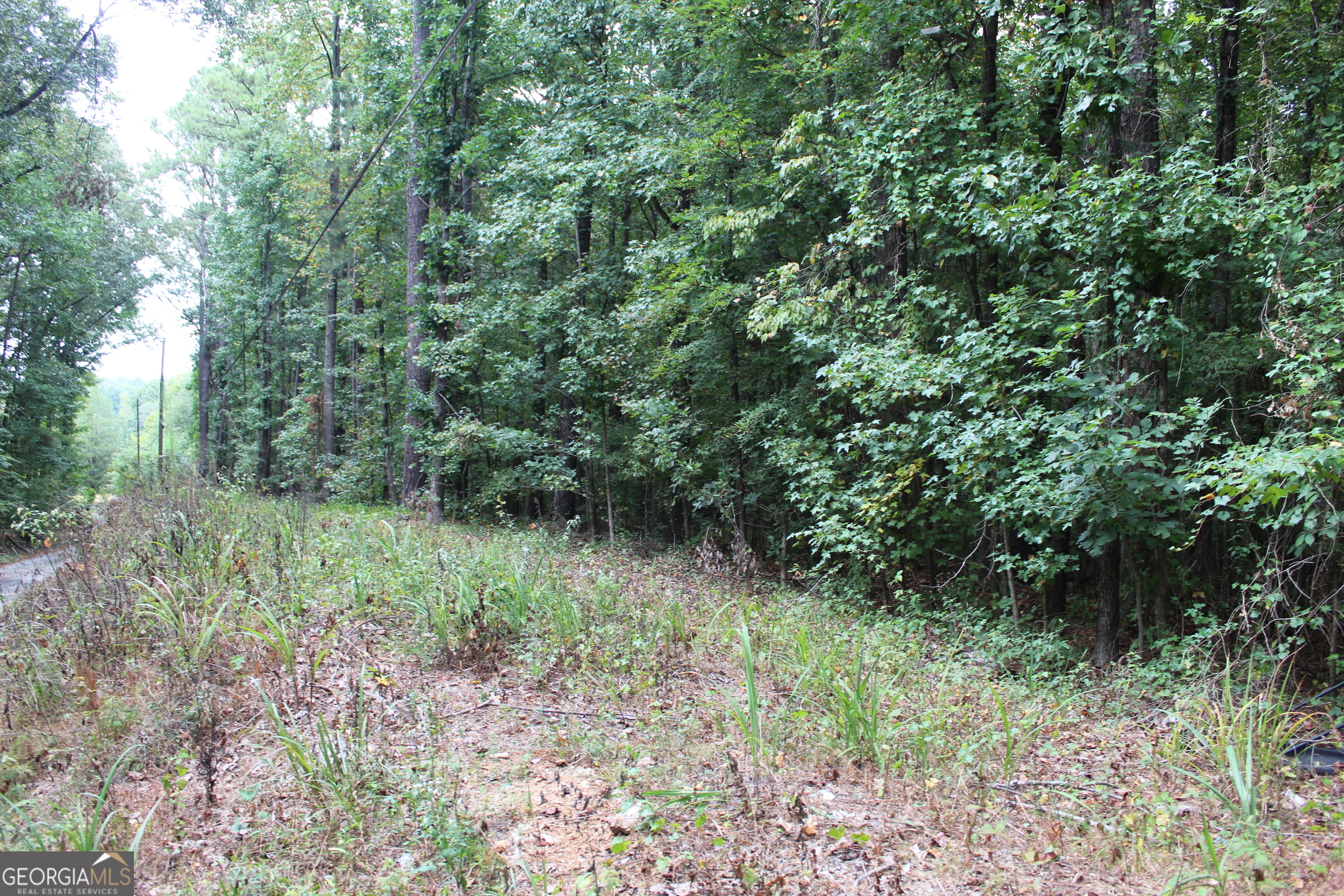 441 N Deshong Road Stone Mountain GA 30087