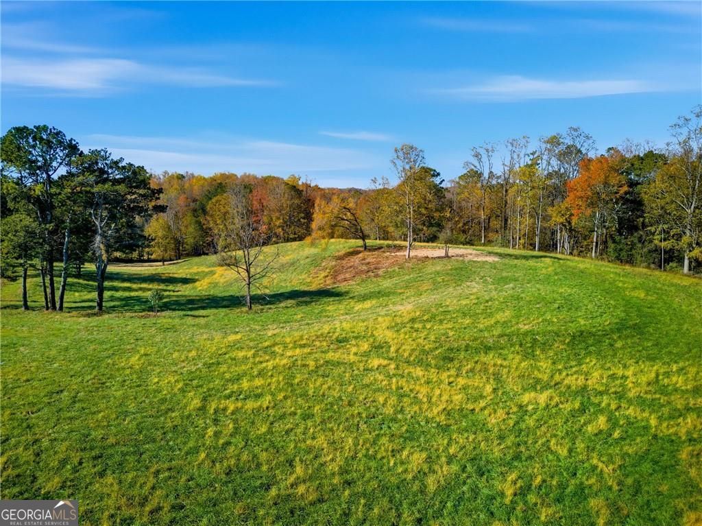 17230 Birmingham Highway Alpharetta GA 30004