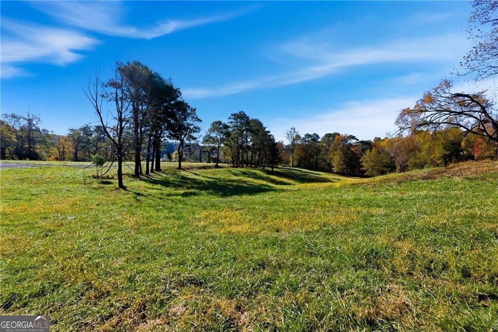 17230 Birmingham Highway Alpharetta GA 30004