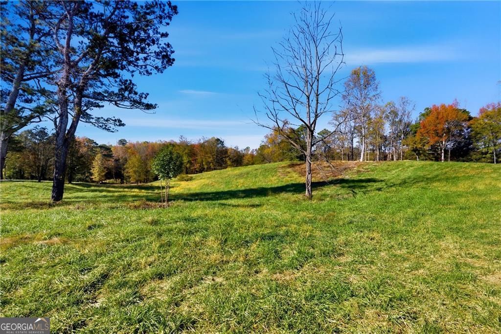 17230 Birmingham Highway Alpharetta GA 30004