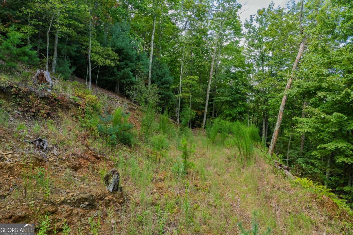 0 Dusty Danno Trail Mineral Bluff GA 30559